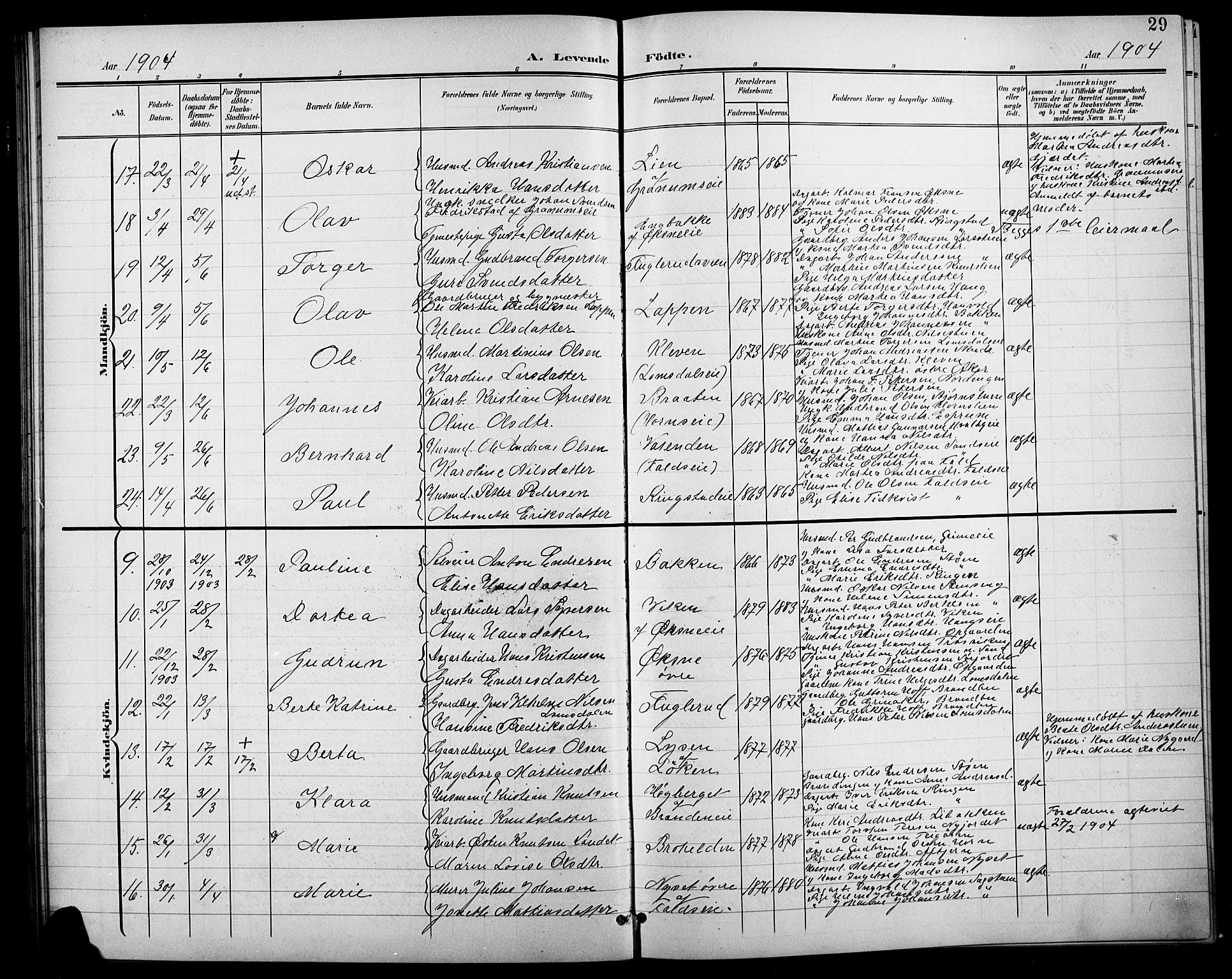 Søndre Land prestekontor, AV/SAH-PREST-122/L/L0004: Klokkerbok nr. 4, 1901-1915, s. 29