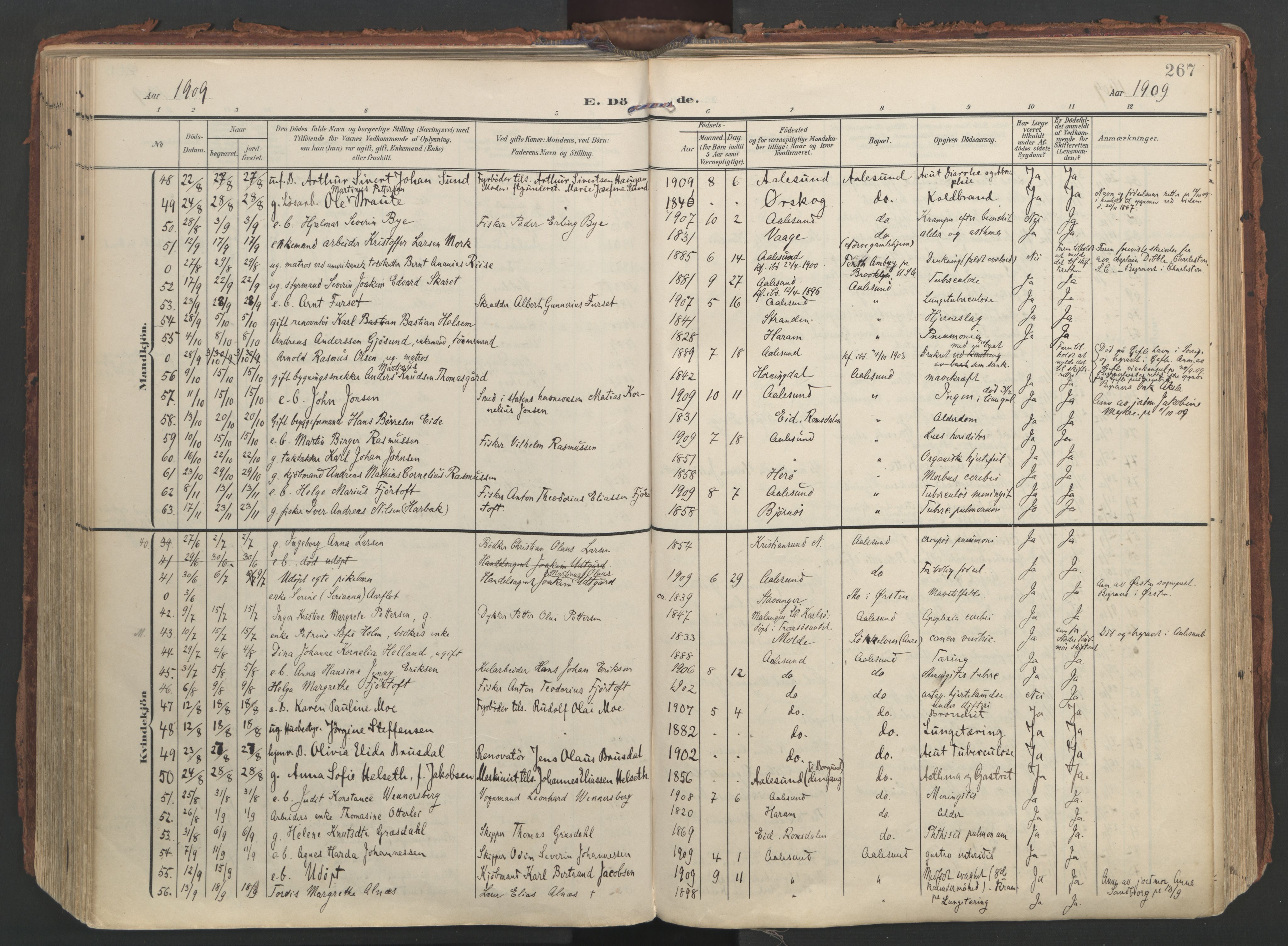 Ministerialprotokoller, klokkerbøker og fødselsregistre - Møre og Romsdal, SAT/A-1454/529/L0459: Ministerialbok nr. 529A09, 1904-1917, s. 267