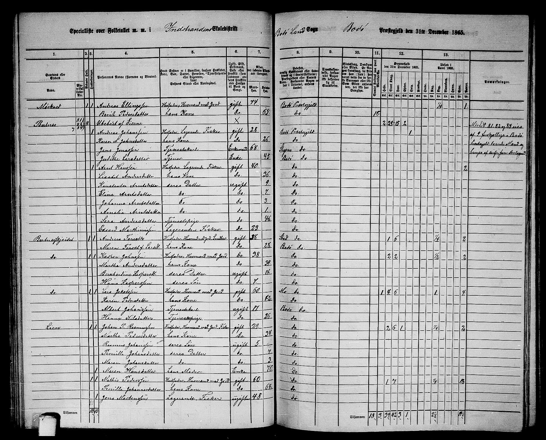 RA, Folketelling 1865 for 1843L Bodø prestegjeld, Bodø landsokn, 1865, s. 56