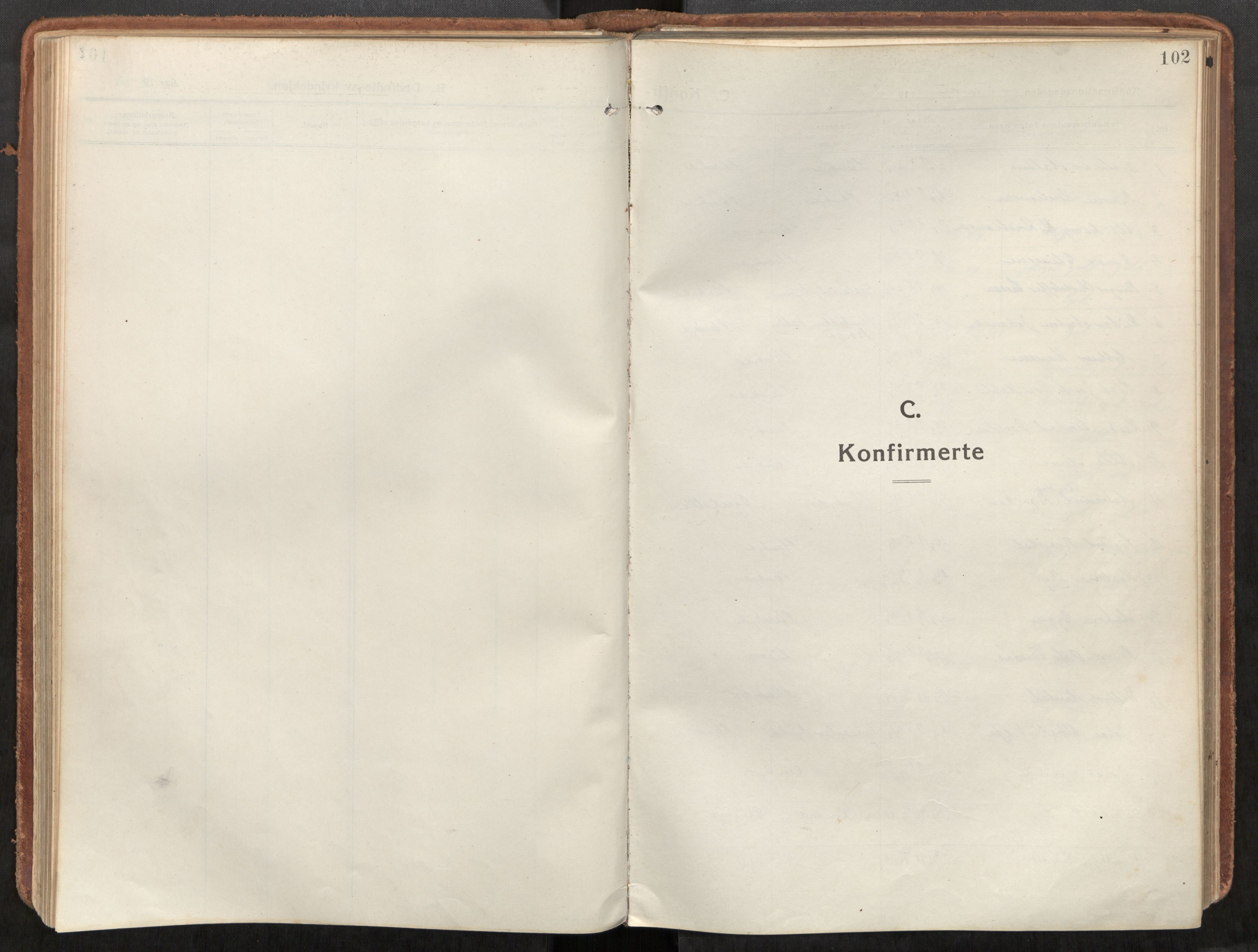 Steinkjer sokneprestkontor, AV/SAT-A-1541/01/H/Ha/Haa/L0003: Ministerialbok nr. 3, 1913-1922, s. 102