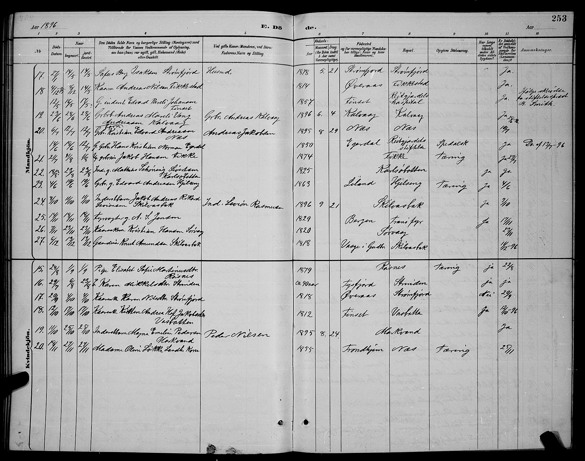 Ministerialprotokoller, klokkerbøker og fødselsregistre - Nordland, AV/SAT-A-1459/859/L0859: Klokkerbok nr. 859C05, 1887-1898, s. 253