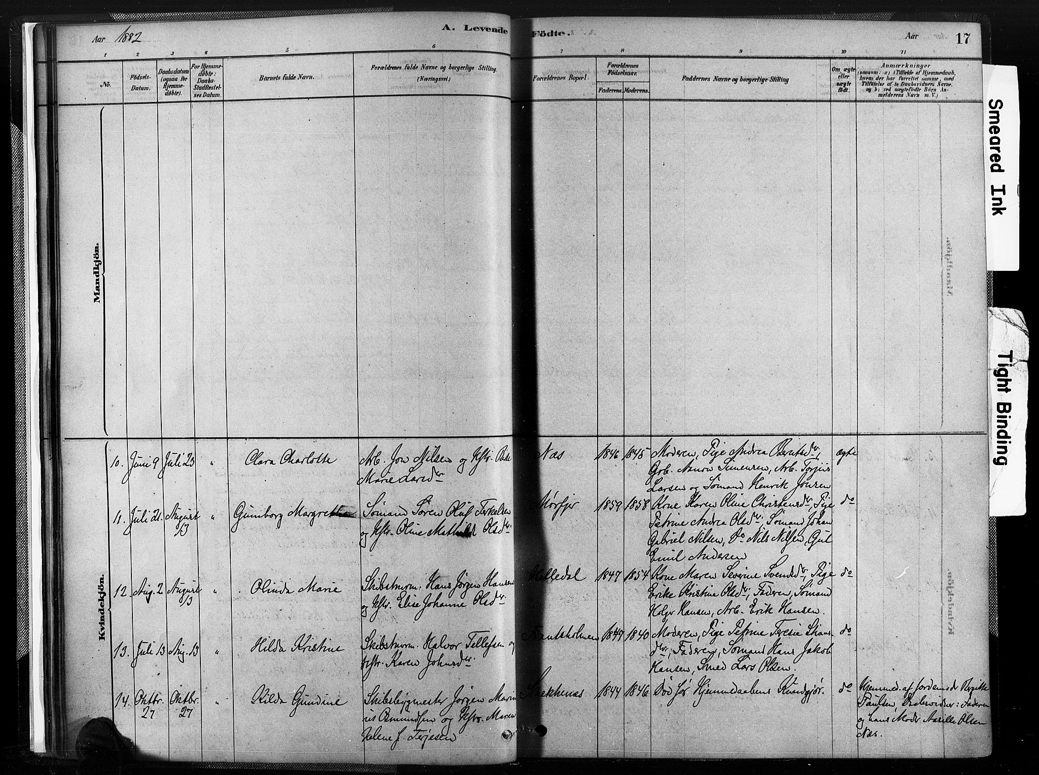 Austre Moland sokneprestkontor, AV/SAK-1111-0001/F/Fa/Fab/L0001: Ministerialbok nr. A 1, 1878-1898, s. 17
