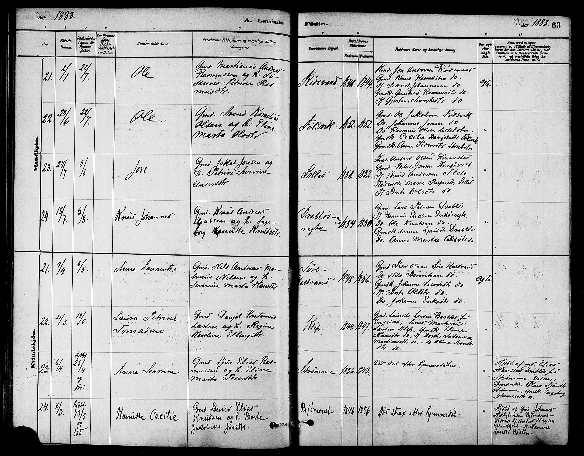 Ministerialprotokoller, klokkerbøker og fødselsregistre - Møre og Romsdal, AV/SAT-A-1454/511/L0141: Ministerialbok nr. 511A08, 1878-1890, s. 63