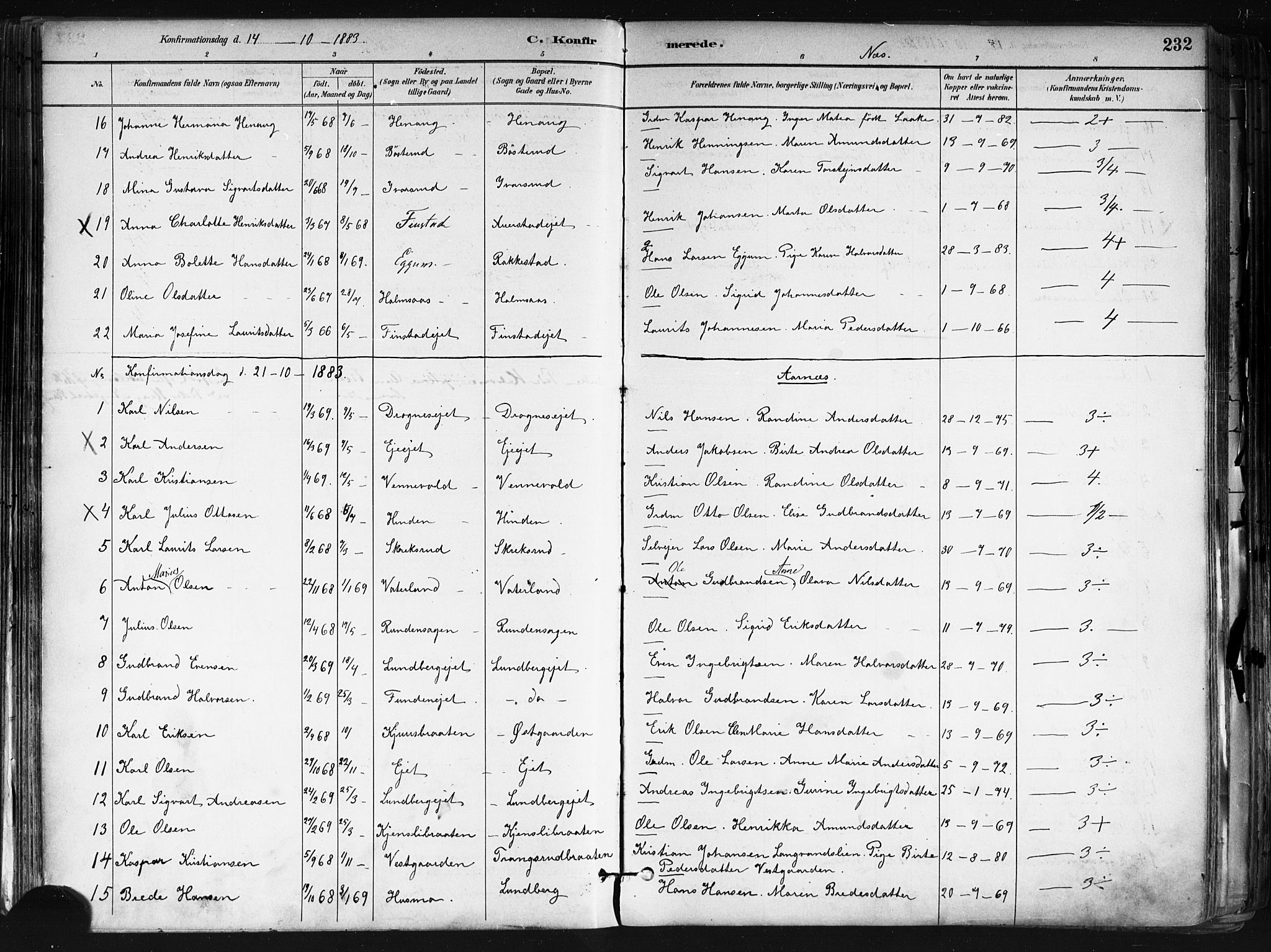 Nes prestekontor Kirkebøker, AV/SAO-A-10410/F/Fa/L0010: Ministerialbok nr. I 10, 1883-1898, s. 232