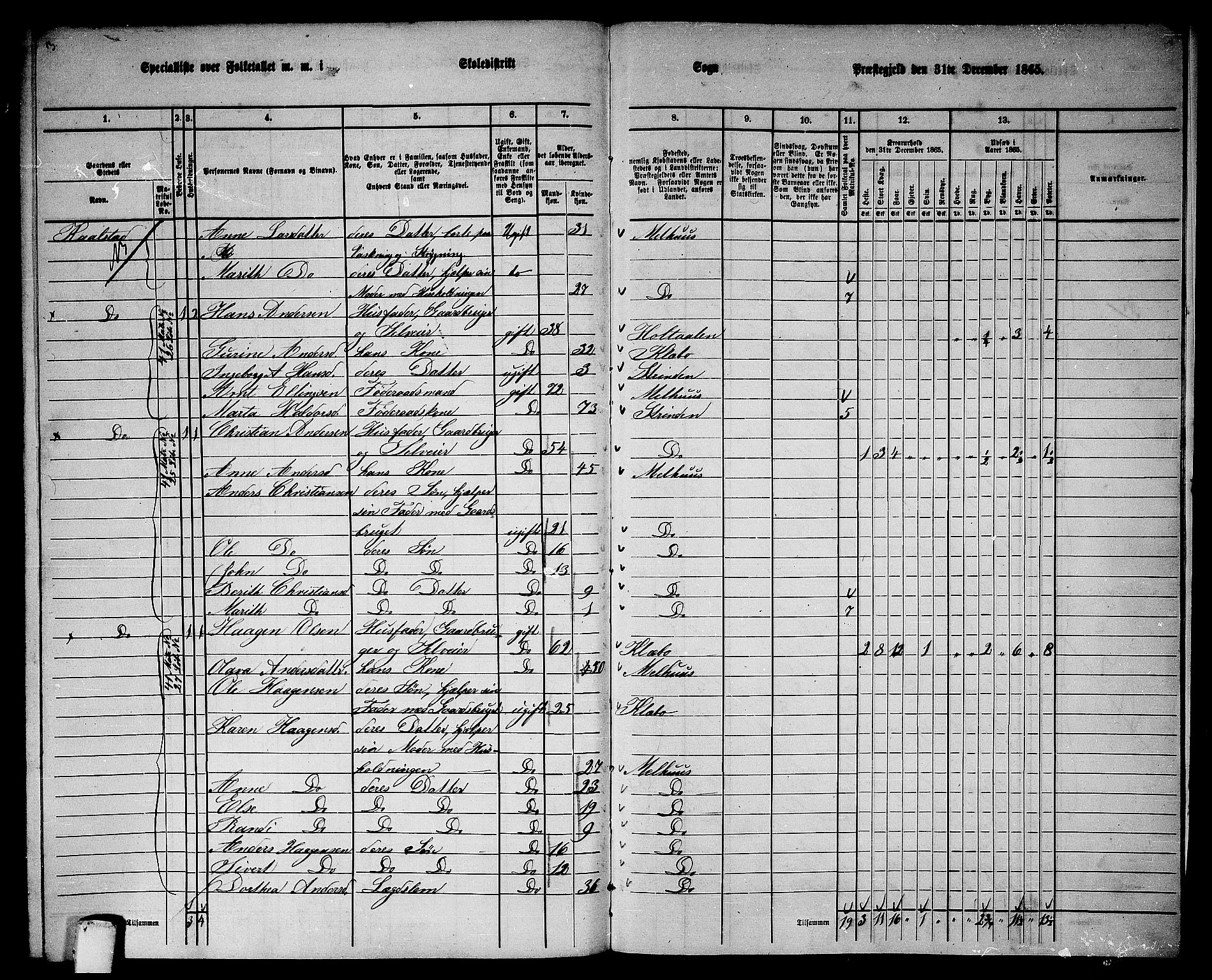 RA, Folketelling 1865 for 1653P Melhus prestegjeld, 1865, s. 248