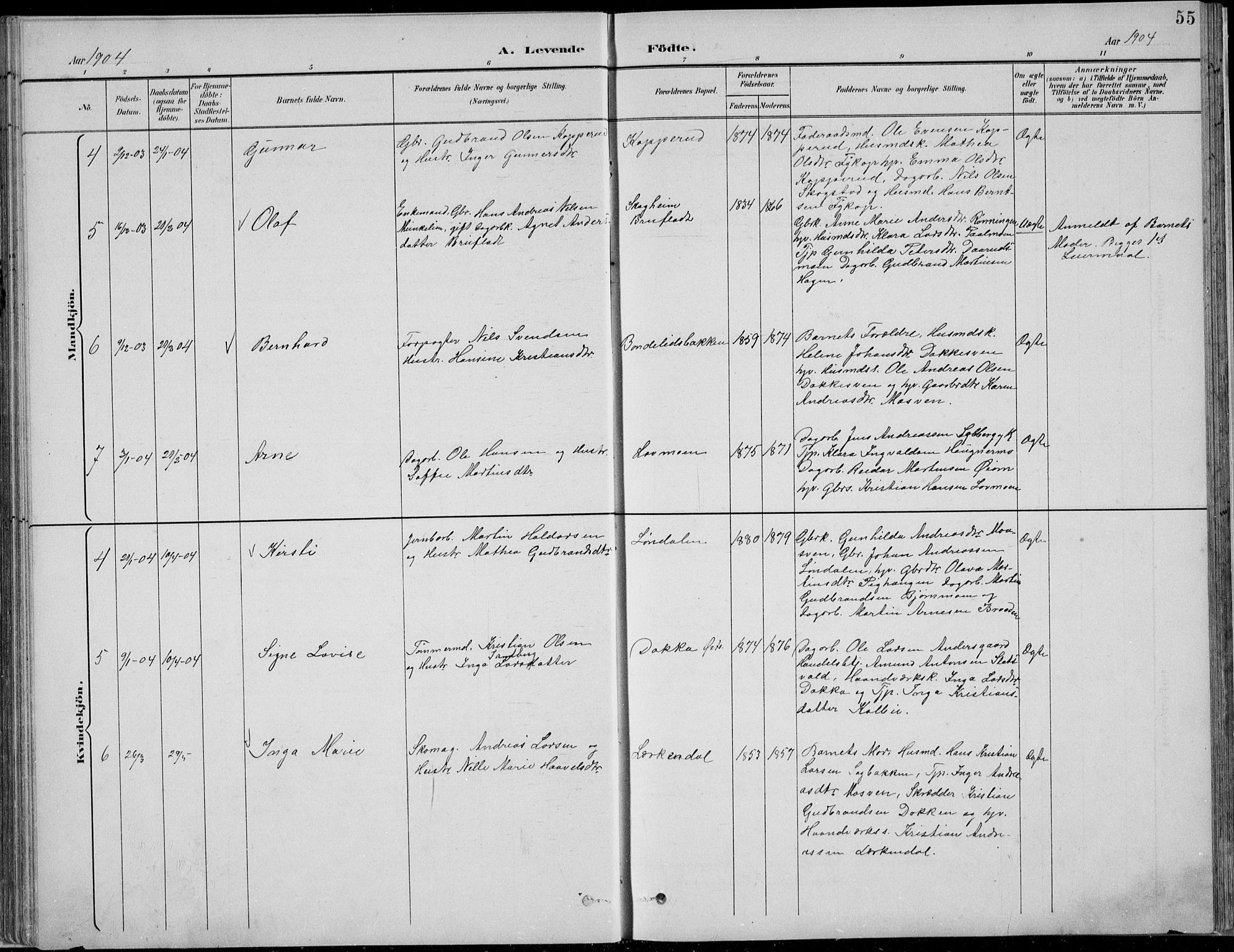 Nordre Land prestekontor, SAH/PREST-124/H/Ha/Hab/L0013: Klokkerbok nr. 13, 1891-1904, s. 55