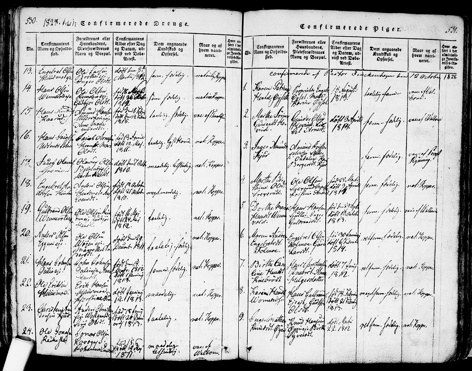Nes prestekontor Kirkebøker, SAO/A-10410/F/Fa/L0005: Ministerialbok nr. I 5, 1815-1835, s. 530-531