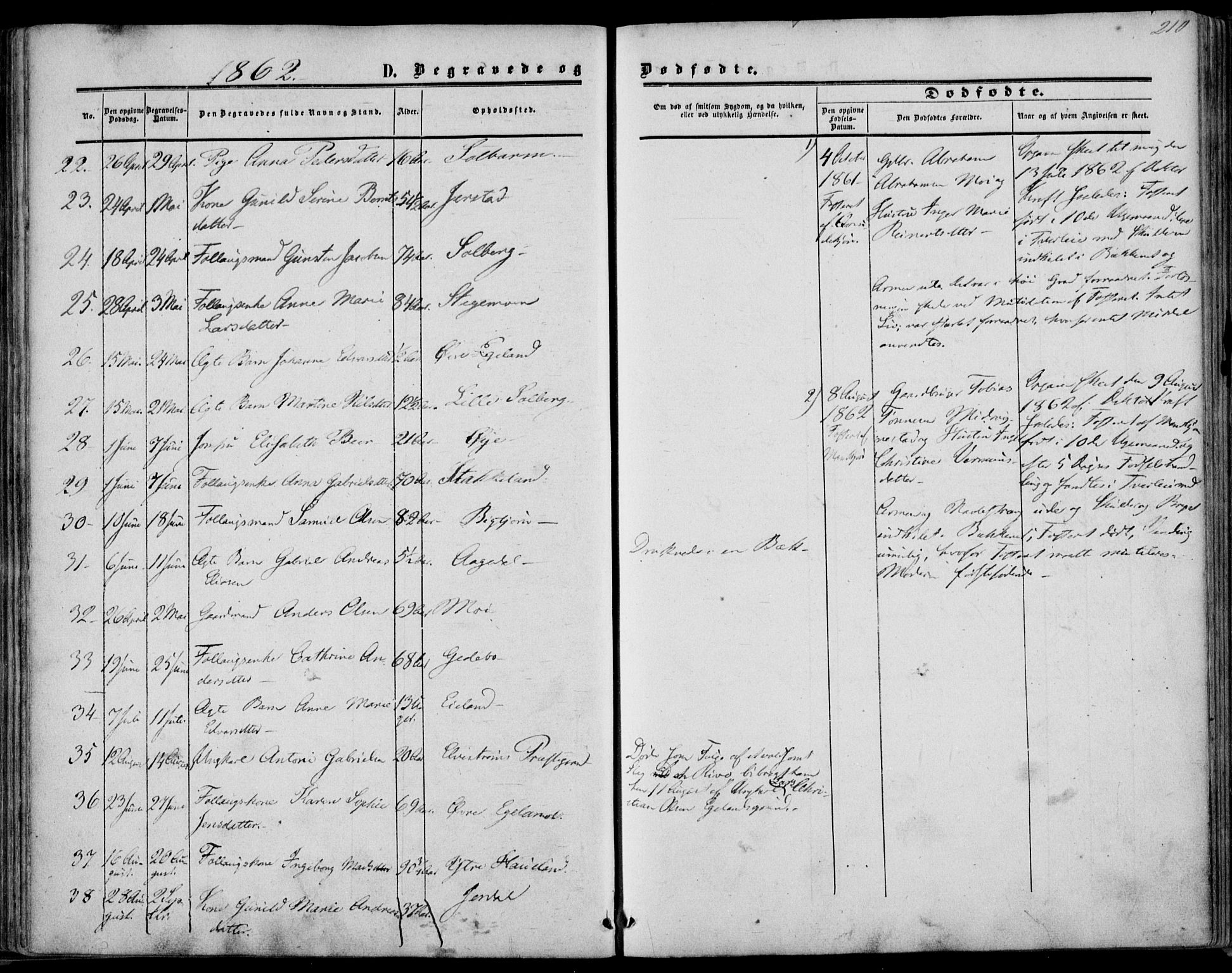 Kvinesdal sokneprestkontor, SAK/1111-0026/F/Fa/Fab/L0006: Ministerialbok nr. A 6, 1857-1869, s. 210