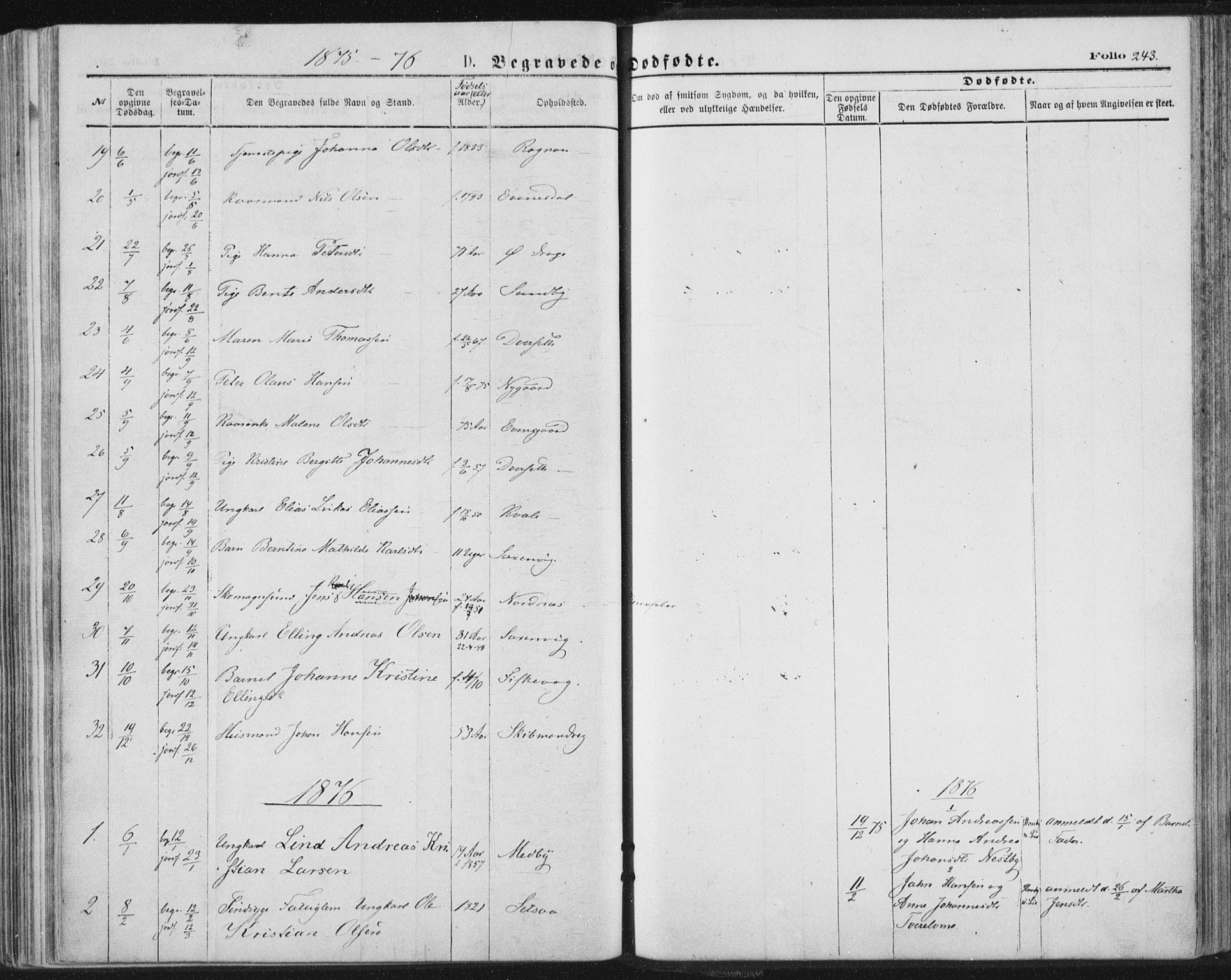 Ministerialprotokoller, klokkerbøker og fødselsregistre - Nordland, AV/SAT-A-1459/847/L0668: Ministerialbok nr. 847A08, 1872-1886, s. 243