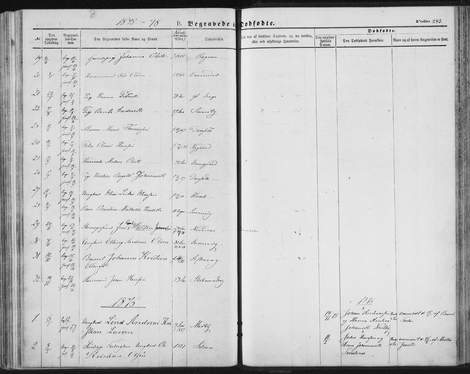 Ministerialprotokoller, klokkerbøker og fødselsregistre - Nordland, SAT/A-1459/847/L0668: Ministerialbok nr. 847A08, 1872-1886, s. 243