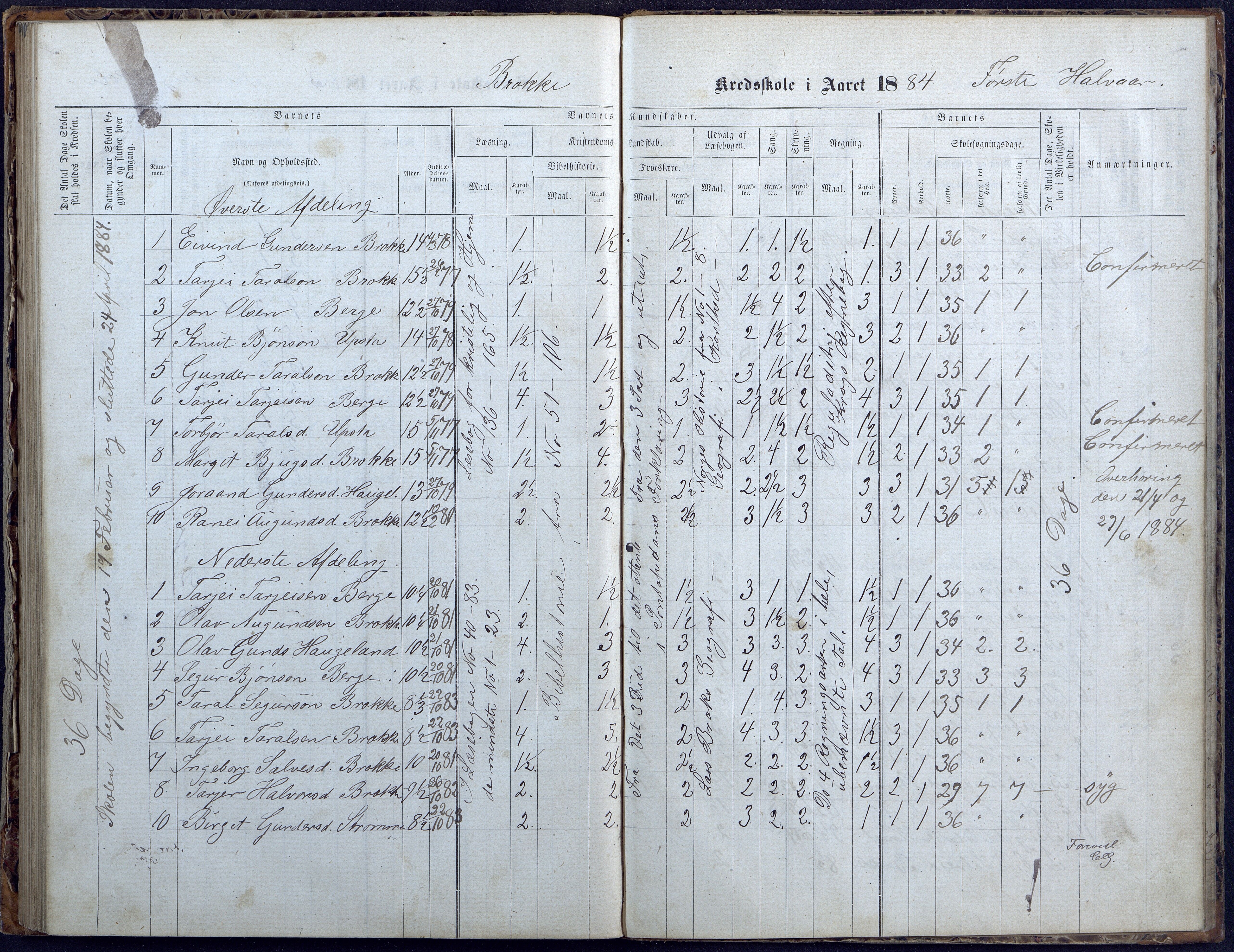 Hylestad kommune, AAKS/KA0939-PK/03/03b/L0004: Skoleprotokoll for Haugen og Brokke krets, 1863-1888