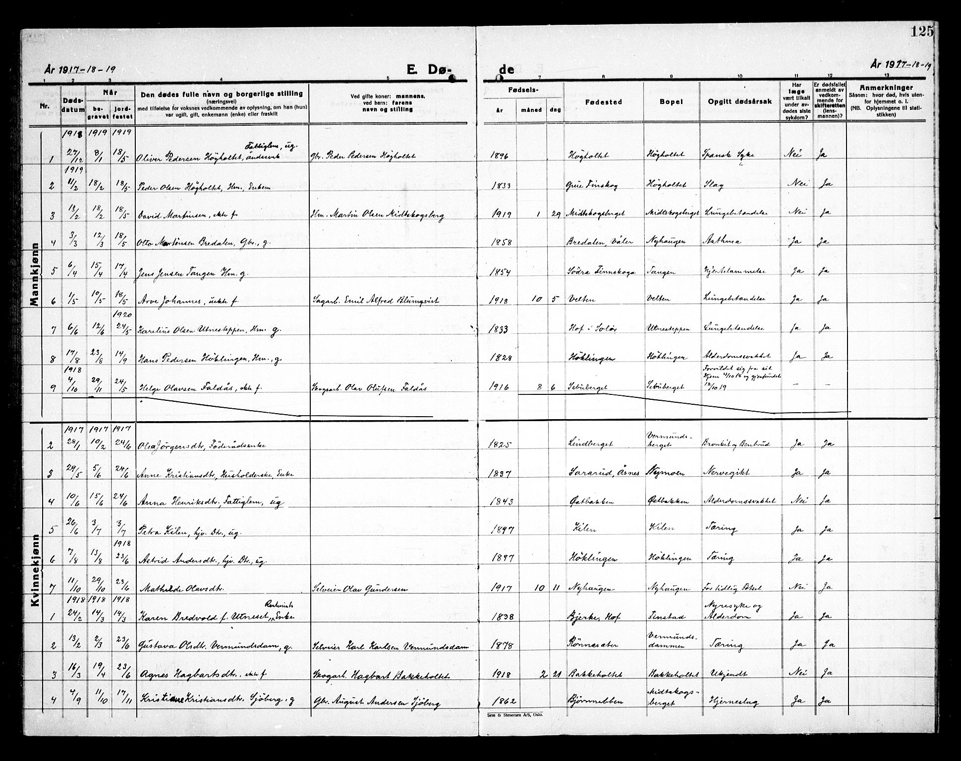 Åsnes prestekontor, SAH/PREST-042/H/Ha/Haa/L0000E: Ministerialbok nr. 0C, 1890-1929, s. 125