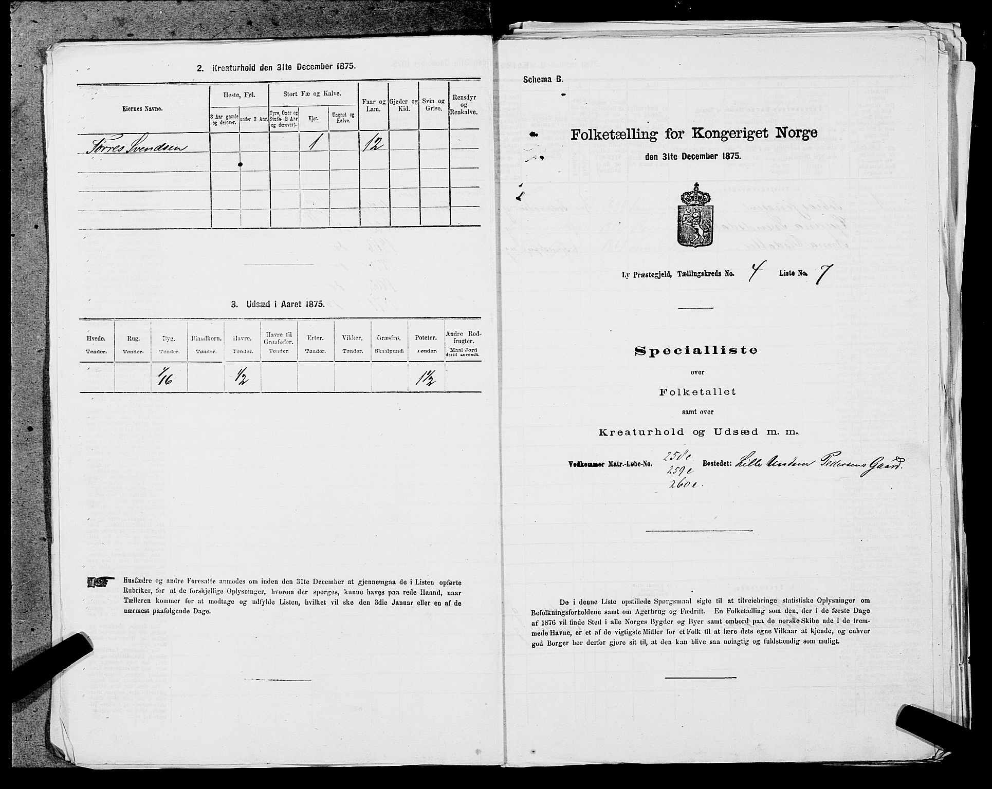 SAST, Folketelling 1875 for 1121P Lye prestegjeld, 1875, s. 484