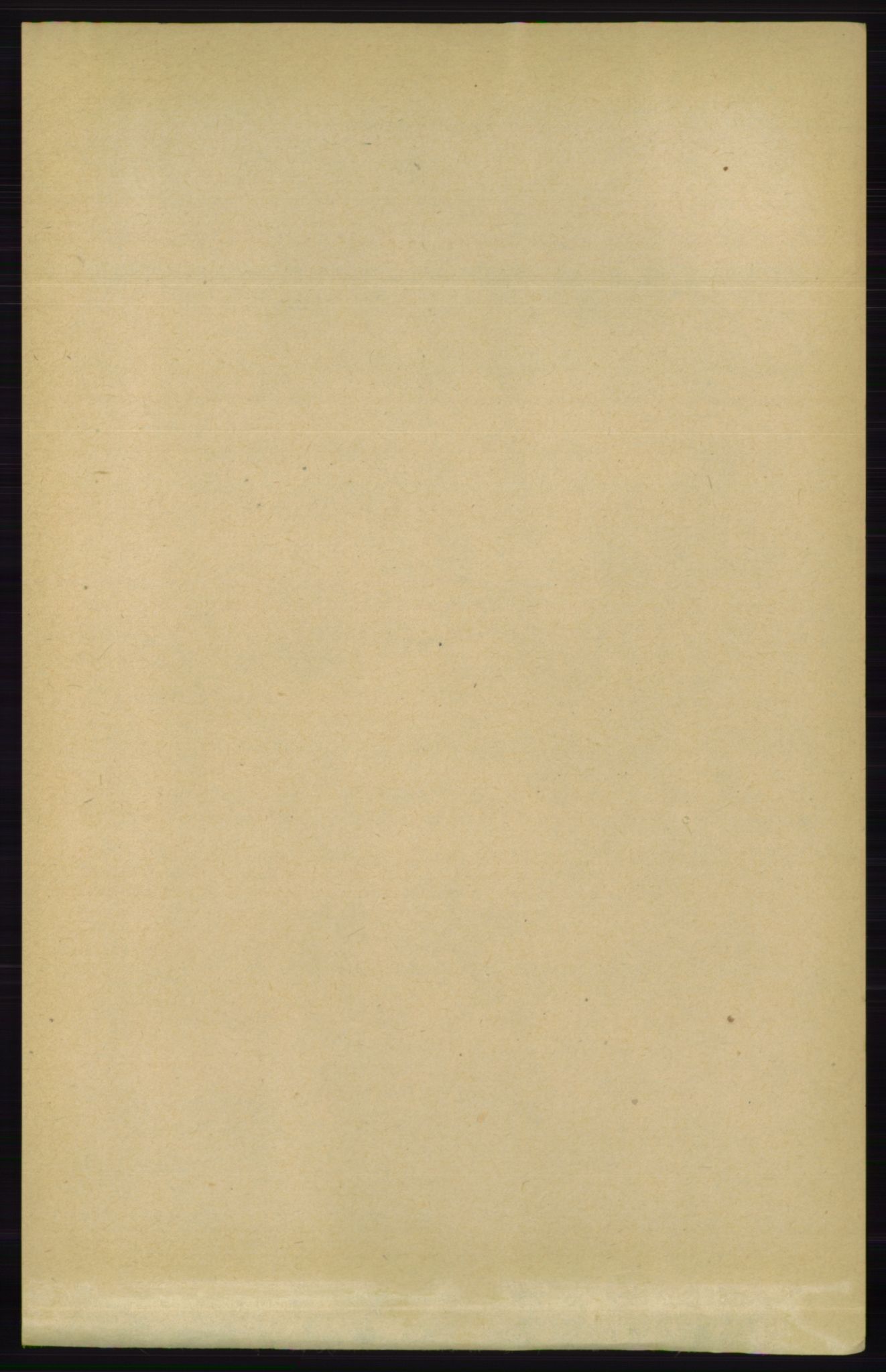 RA, Folketelling 1891 for 0913 Søndeled herred, 1891, s. 3905