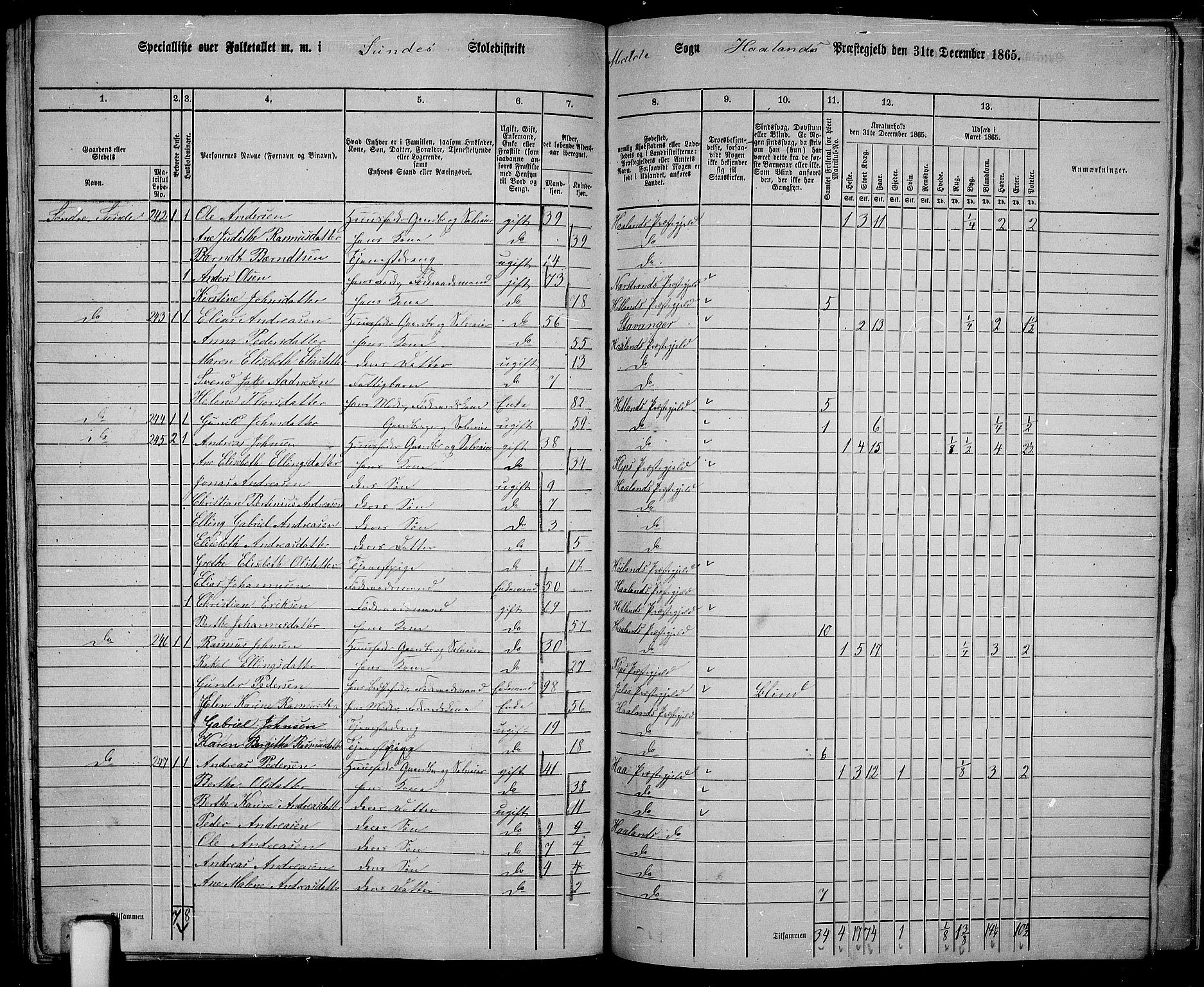 RA, Folketelling 1865 for 1124P Håland prestegjeld, 1865, s. 113