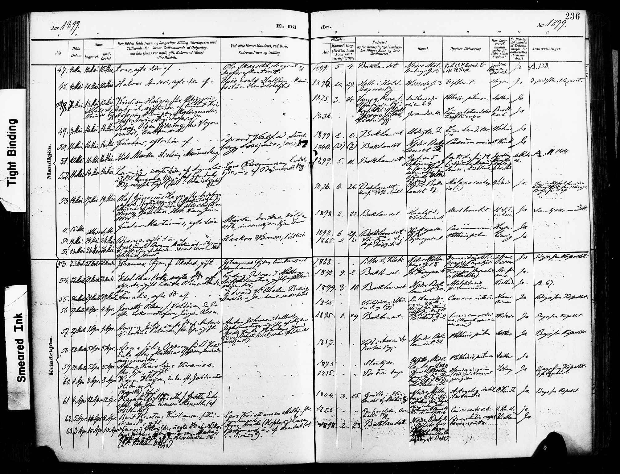 Ministerialprotokoller, klokkerbøker og fødselsregistre - Sør-Trøndelag, SAT/A-1456/604/L0198: Ministerialbok nr. 604A19, 1893-1900, s. 236