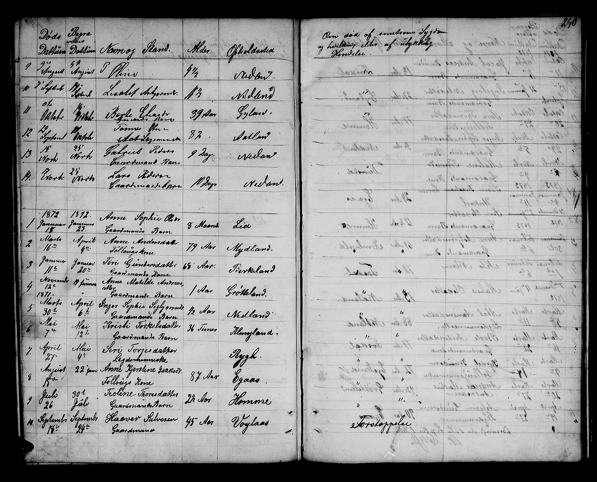Bakke sokneprestkontor, AV/SAK-1111-0002/F/Fb/Fbb/L0002: Klokkerbok nr. B 2, 1849-1878, s. 250