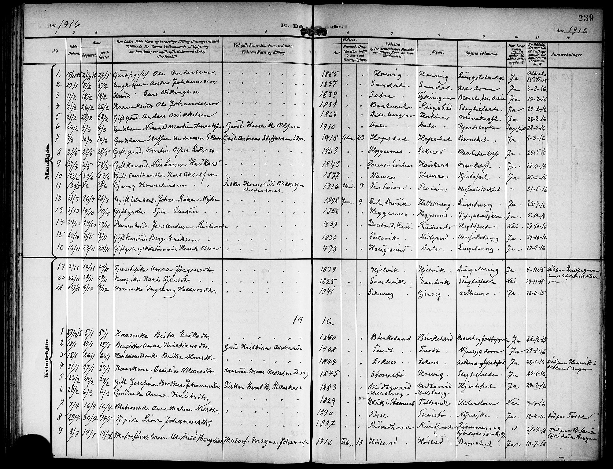 Hamre sokneprestembete, SAB/A-75501/H/Ha/Hab: Klokkerbok nr. B 4, 1898-1919, s. 239