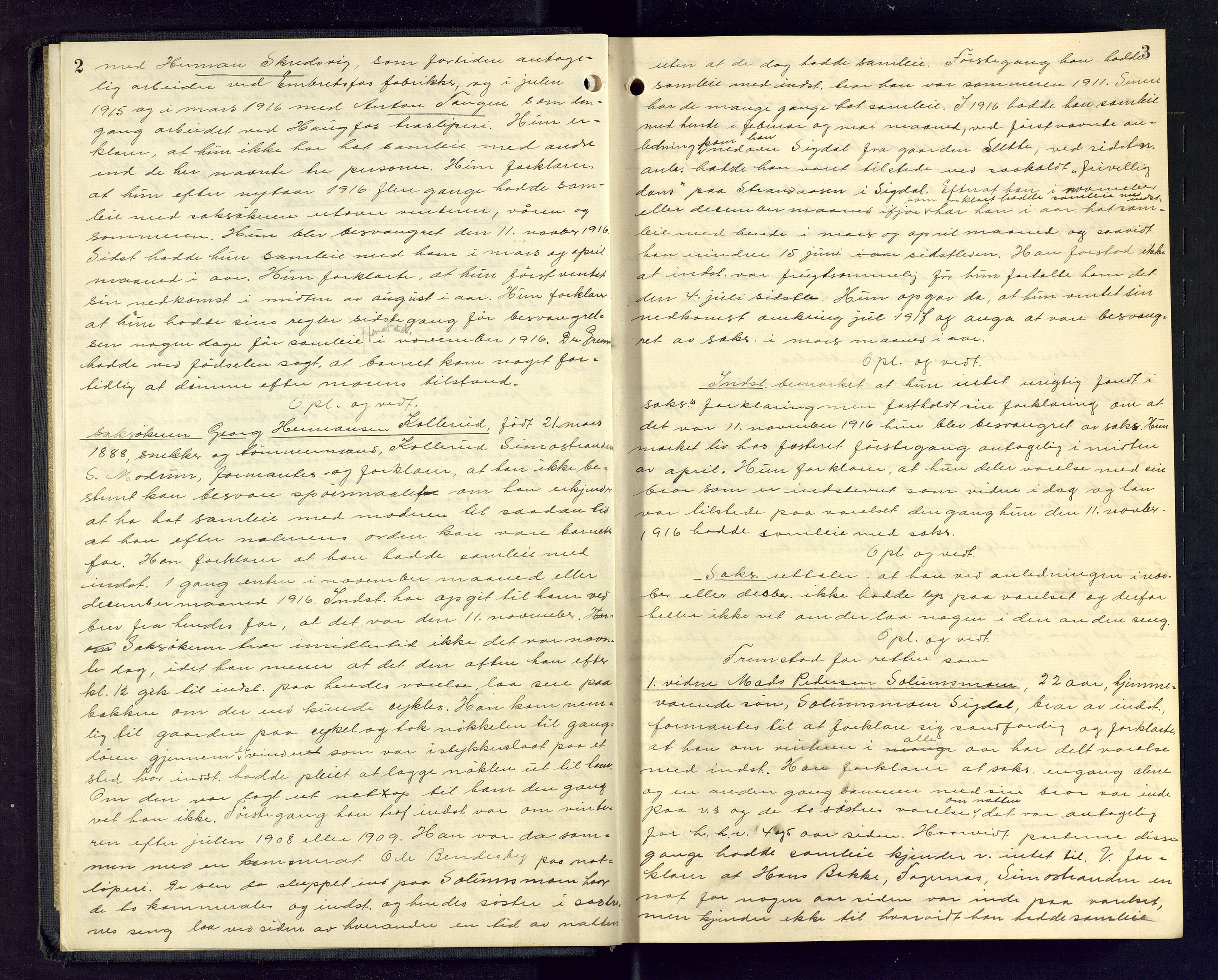 Eiker, Modum og Sigdal sorenskriveri, SAKO/A-123/F/Fc/L0039: Ekstrarettsprotokoll, 1917-1919, s. 2-3