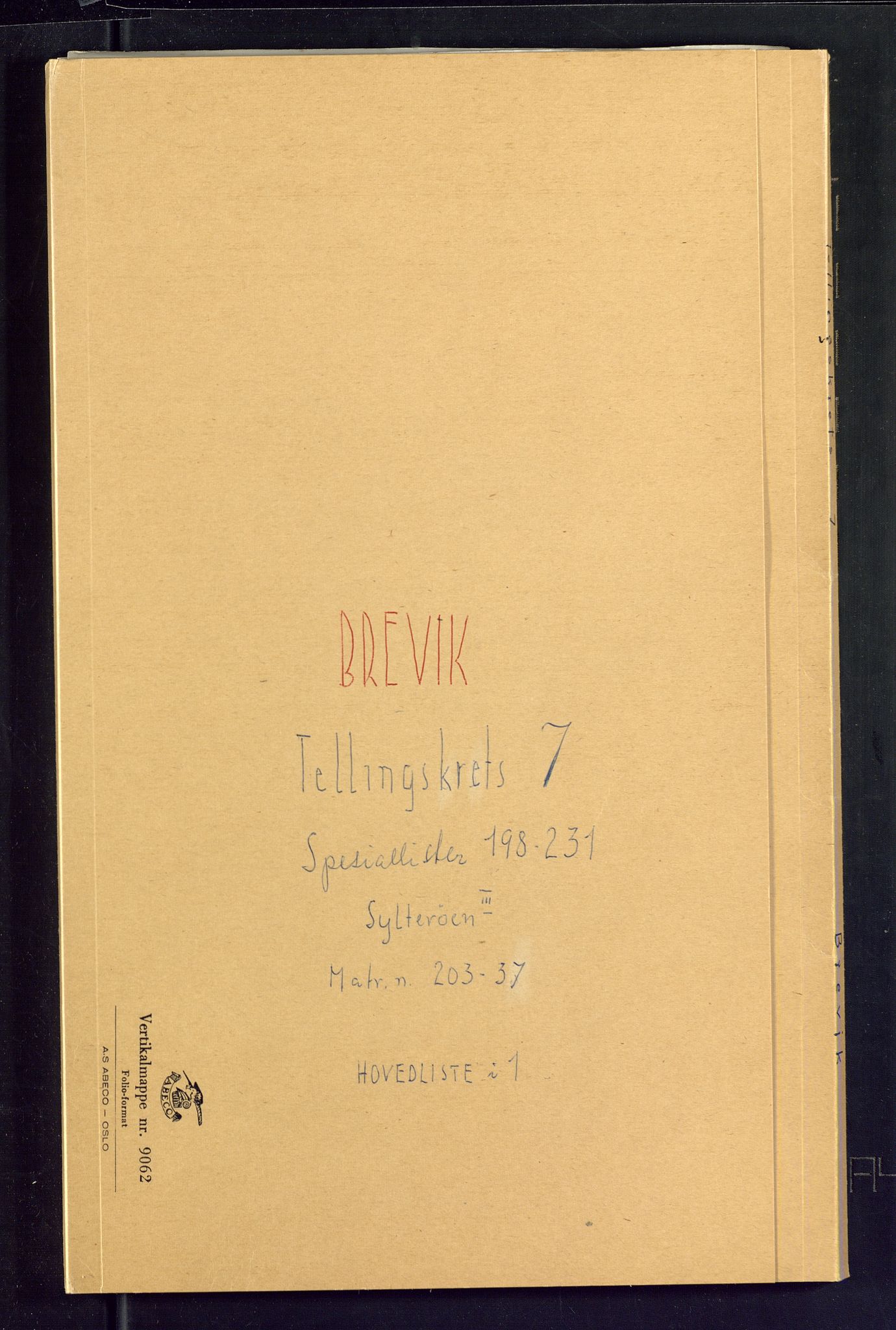 SAKO, Folketelling 1875 for 0804P Brevik prestegjeld, 1875, s. 13