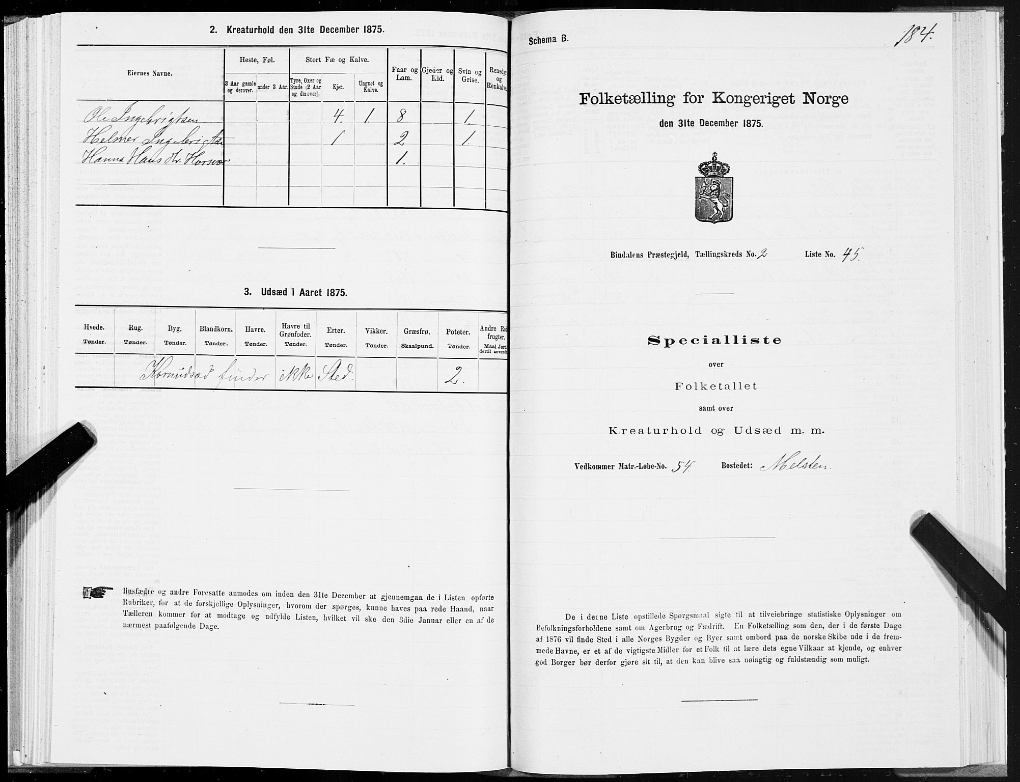 SAT, Folketelling 1875 for 1811P Bindal prestegjeld, 1875, s. 1184