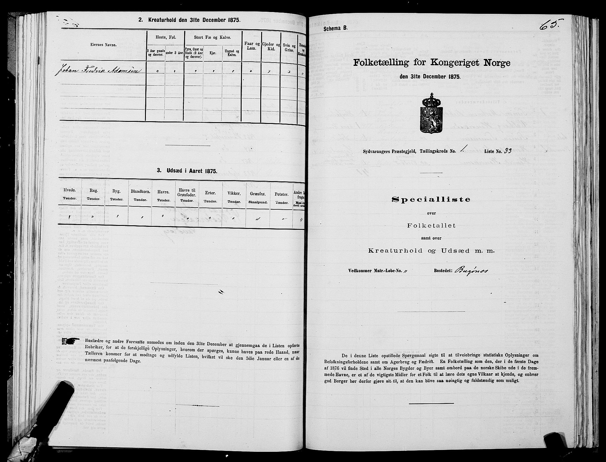 SATØ, Folketelling 1875 for 2030P Sør-Varanger prestegjeld, 1875, s. 1065