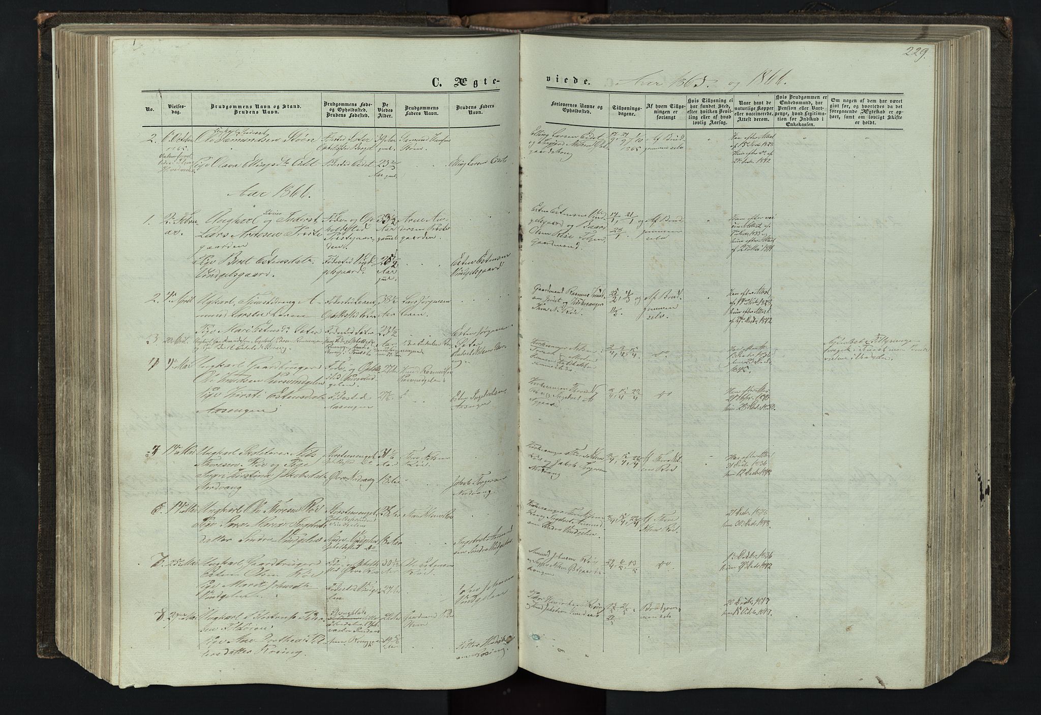 Tolga prestekontor, AV/SAH-PREST-062/L/L0005: Klokkerbok nr. 5, 1862-1893, s. 229