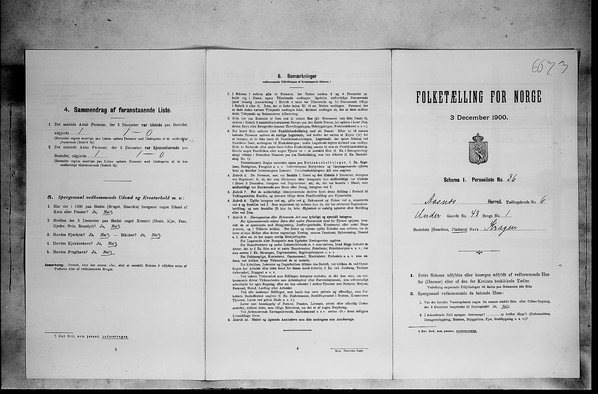 SAH, Folketelling 1900 for 0425 Åsnes herred, 1900, s. 1158