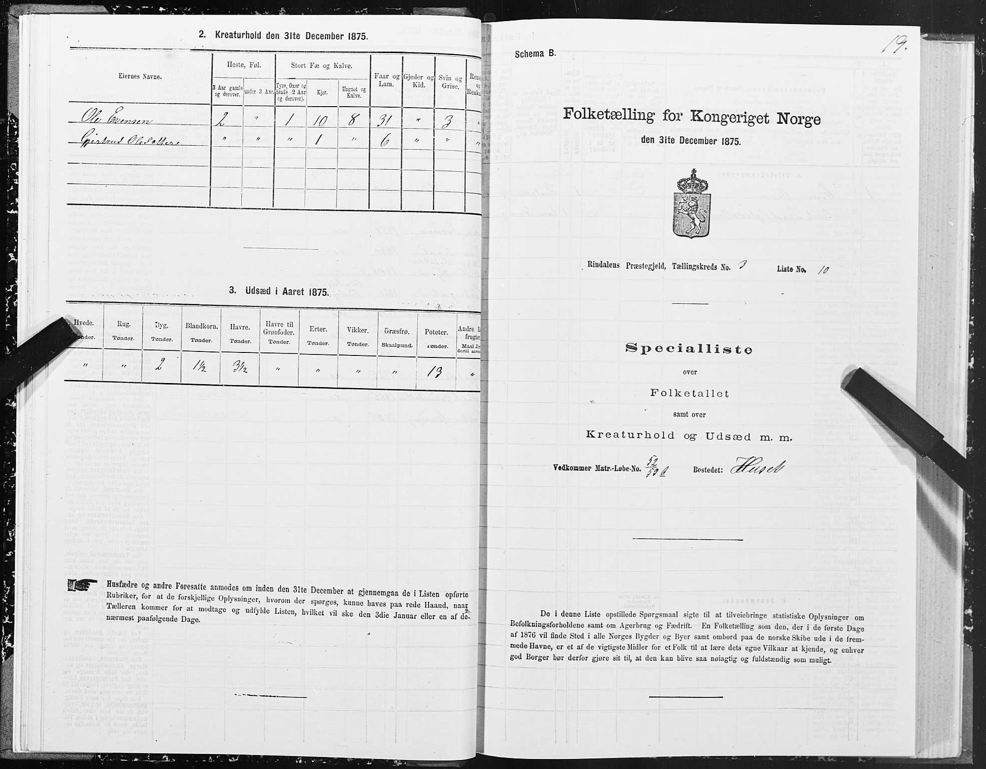 SAT, Folketelling 1875 for 1567P Rindal prestegjeld, 1875, s. 2019