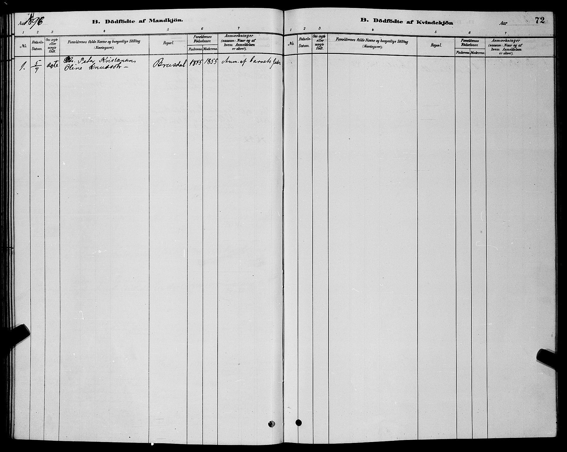Ministerialprotokoller, klokkerbøker og fødselsregistre - Møre og Romsdal, SAT/A-1454/524/L0365: Klokkerbok nr. 524C06, 1880-1899, s. 72