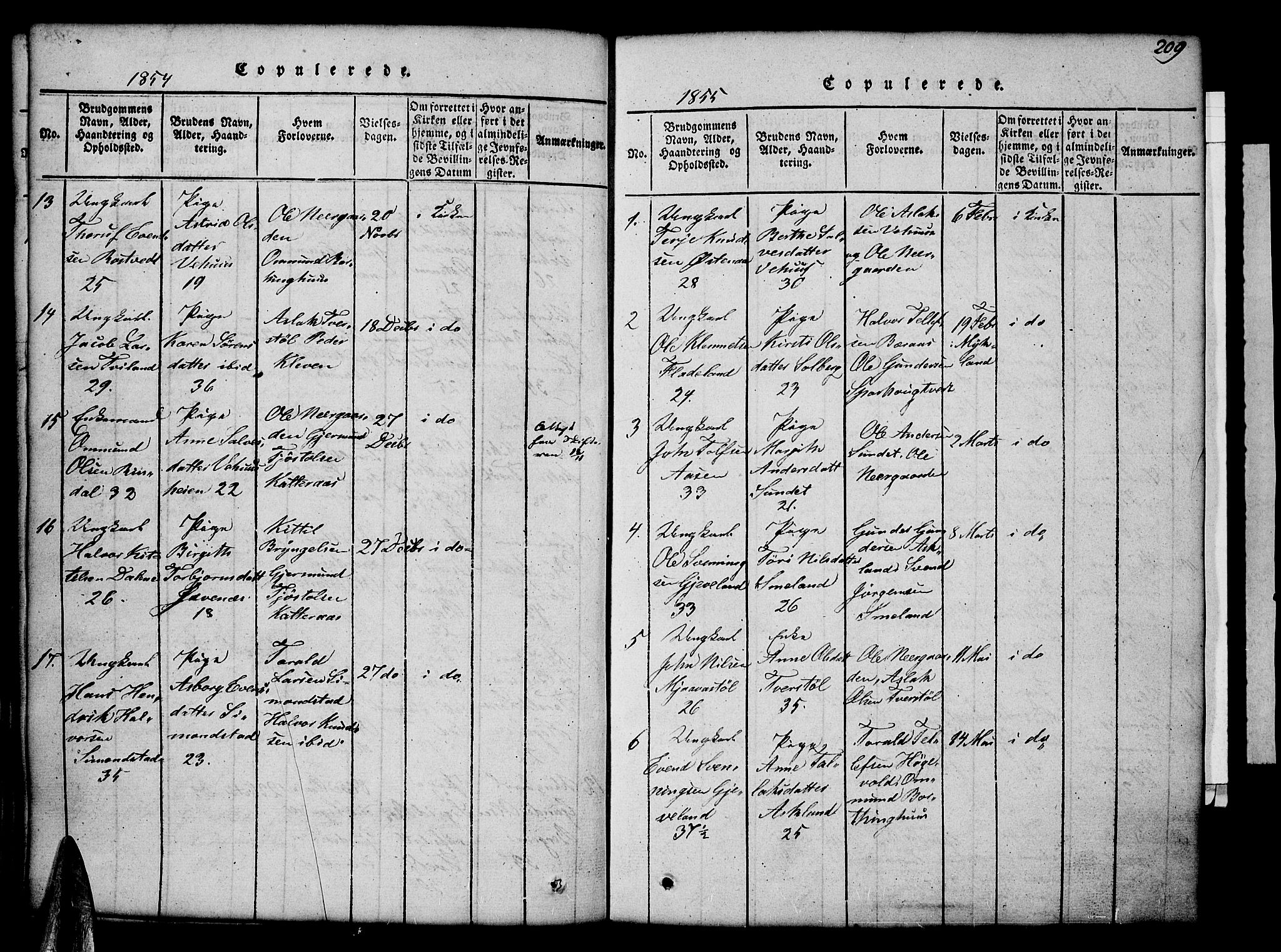 Åmli sokneprestkontor, SAK/1111-0050/F/Fb/Fbc/L0001: Klokkerbok nr. B 1, 1816-1867, s. 209