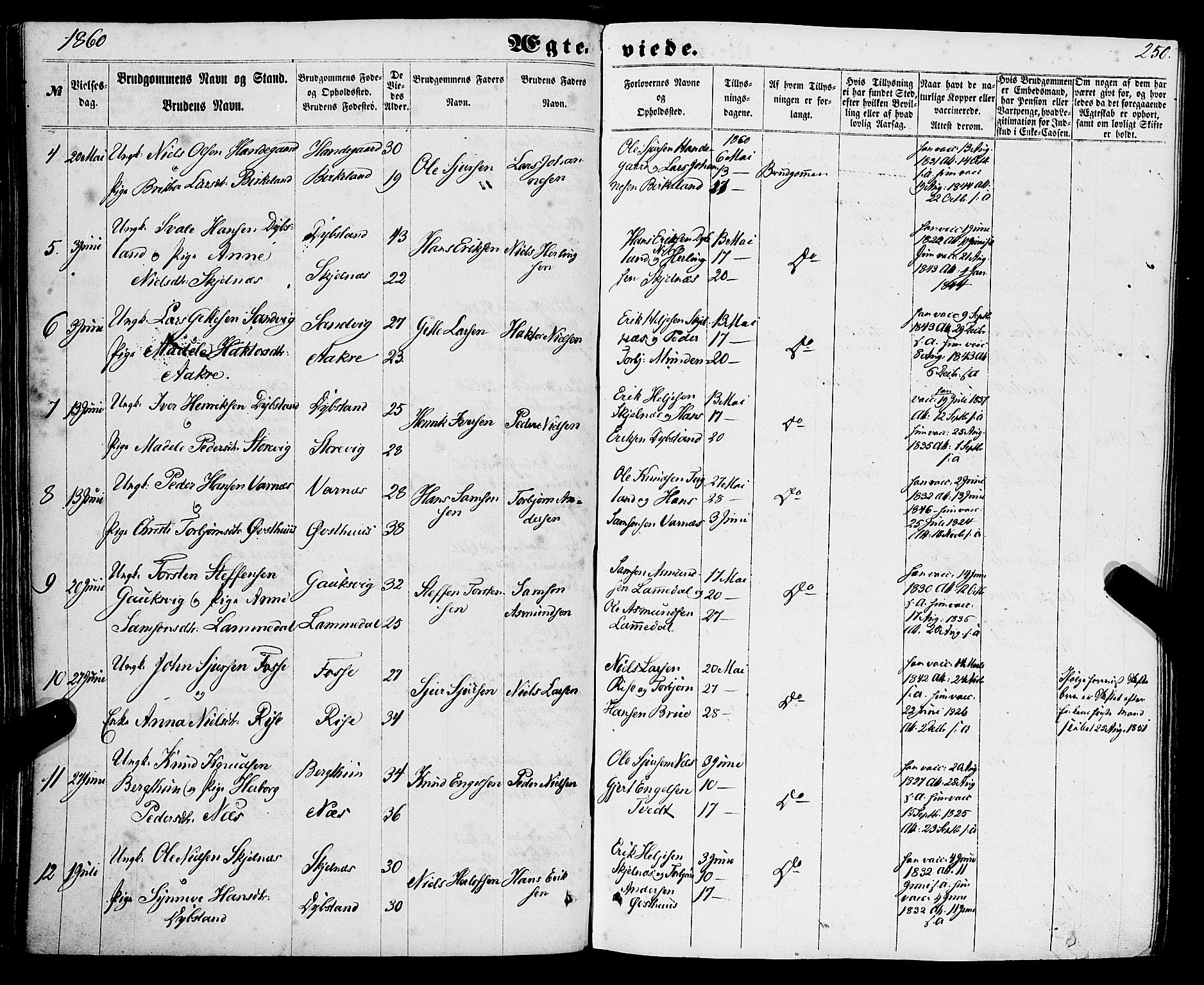 Strandebarm sokneprestembete, AV/SAB-A-78401/H/Haa: Ministerialbok nr. A 8, 1858-1872, s. 250