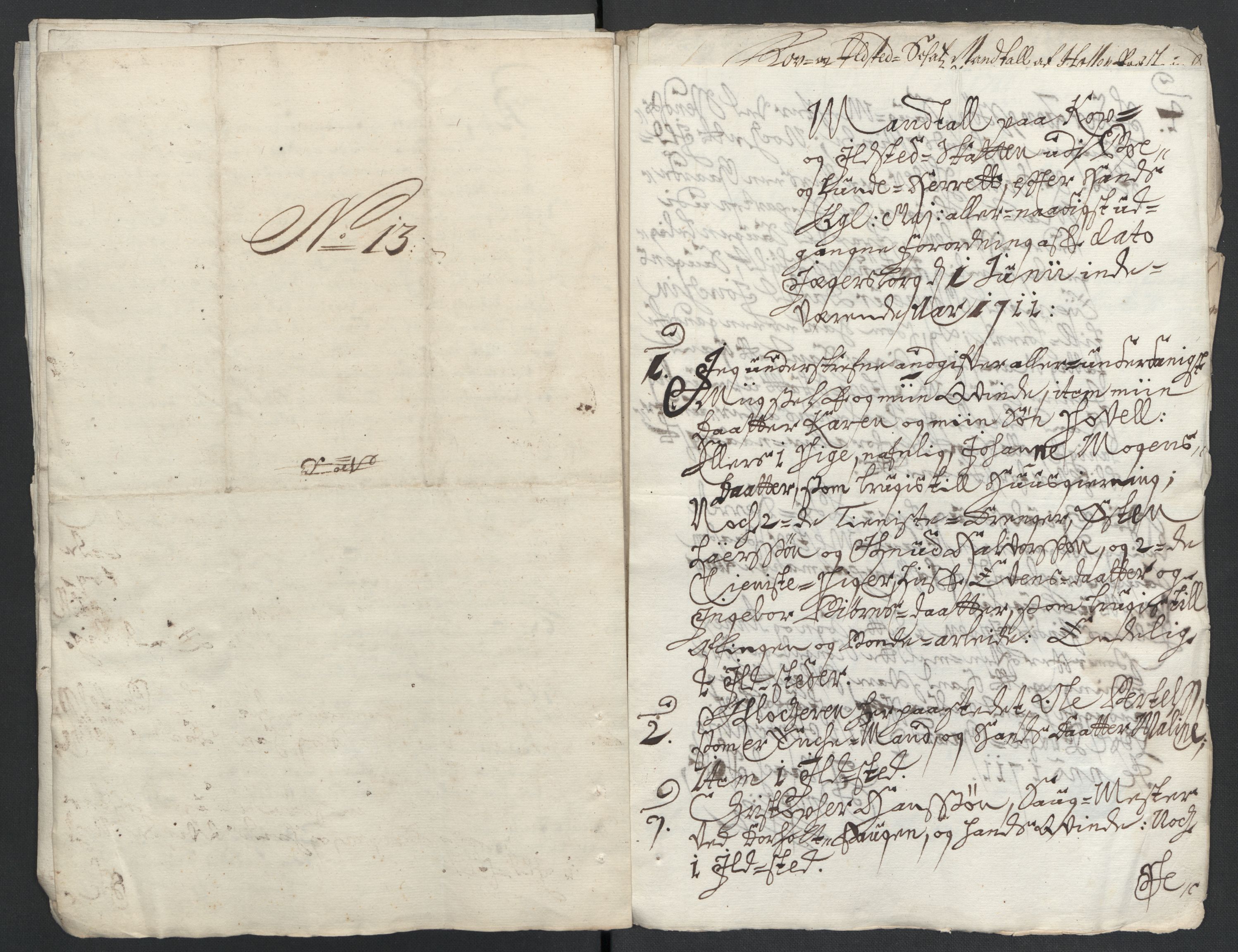 Rentekammeret inntil 1814, Reviderte regnskaper, Fogderegnskap, AV/RA-EA-4092/R36/L2120: Fogderegnskap Øvre og Nedre Telemark og Bamble, 1711, s. 119