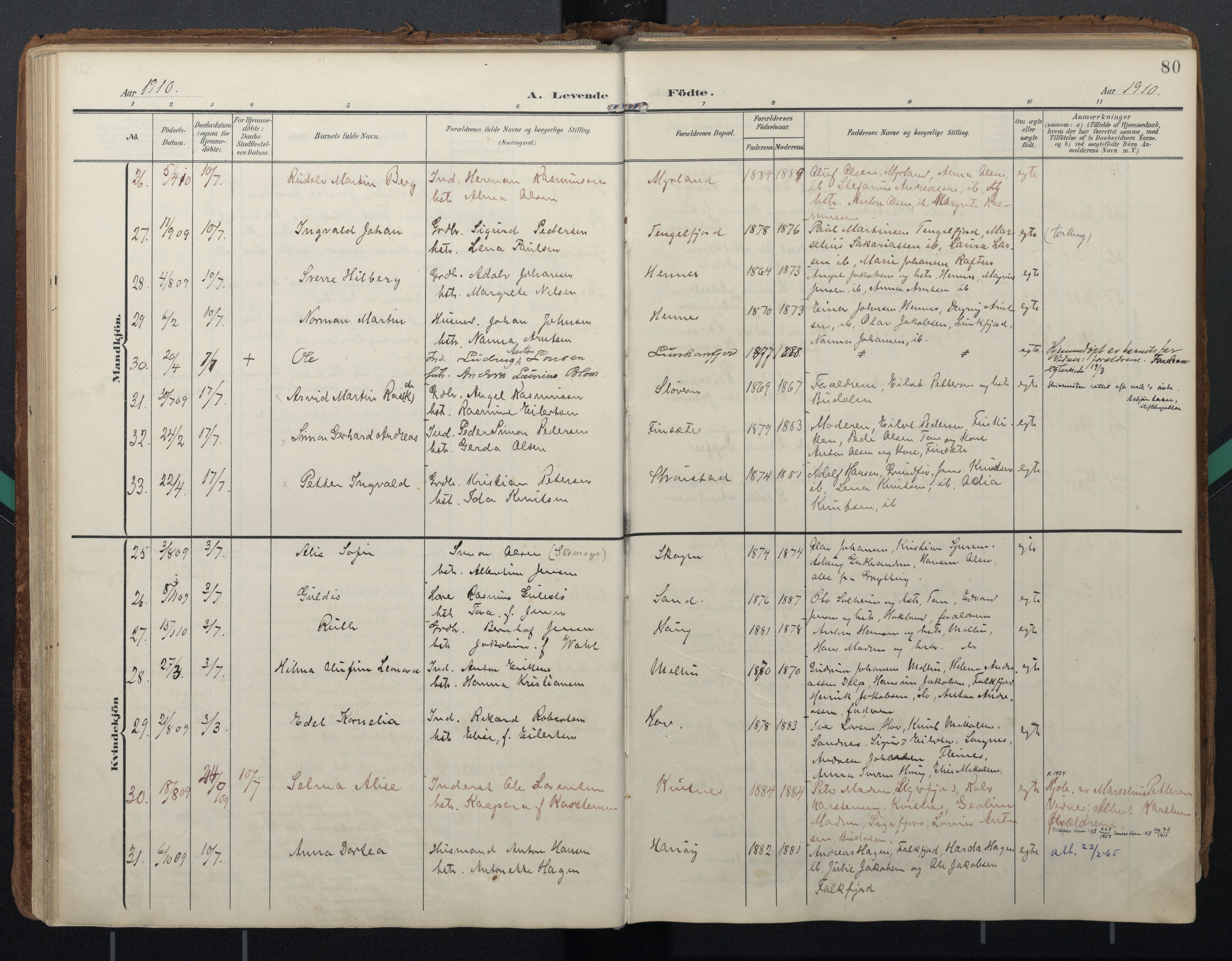 Ministerialprotokoller, klokkerbøker og fødselsregistre - Nordland, AV/SAT-A-1459/888/L1248: Ministerialbok nr. 888A14, 1904-1913, s. 80