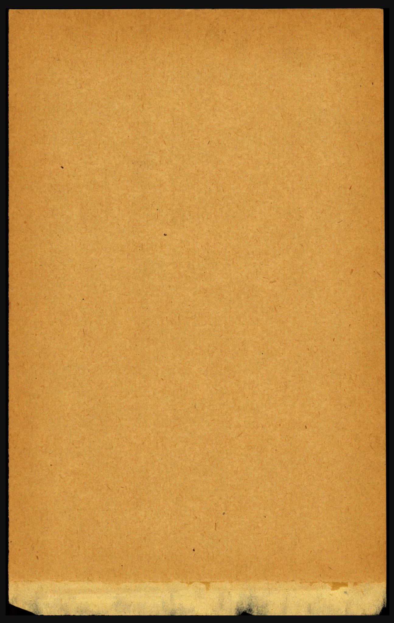 RA, Folketelling 1891 for 1855 Ankenes herred, 1891, s. 2742