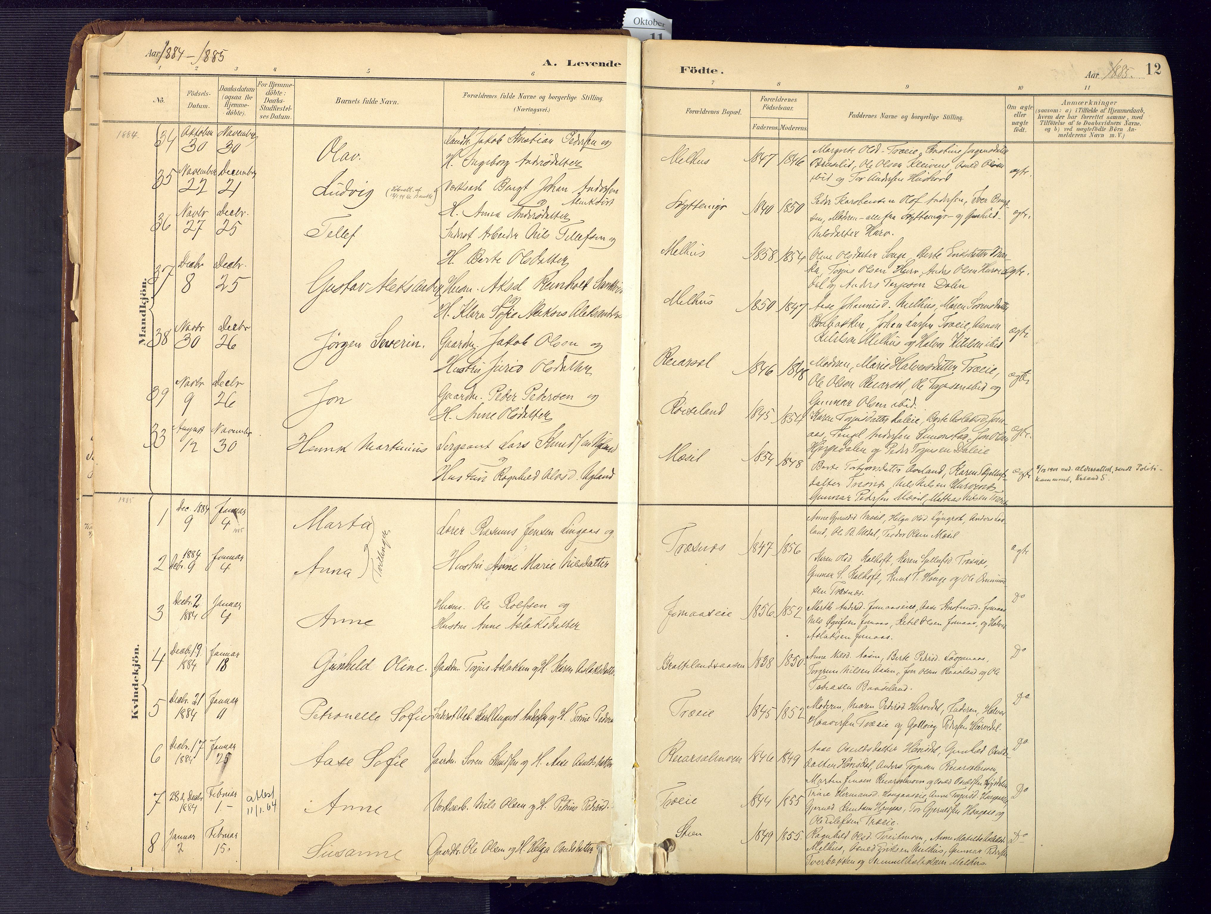 Froland sokneprestkontor, AV/SAK-1111-0013/F/Fa/L0005: Ministerialbok nr. A 5, 1882-1921, s. 12