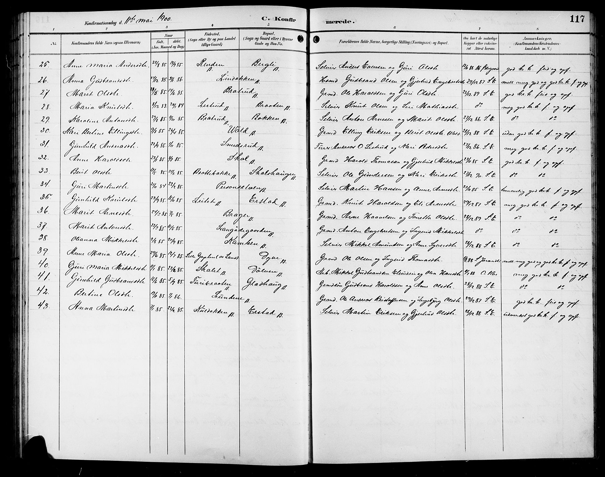 Sør-Aurdal prestekontor, AV/SAH-PREST-128/H/Ha/Hab/L0009: Klokkerbok nr. 9, 1894-1924, s. 117