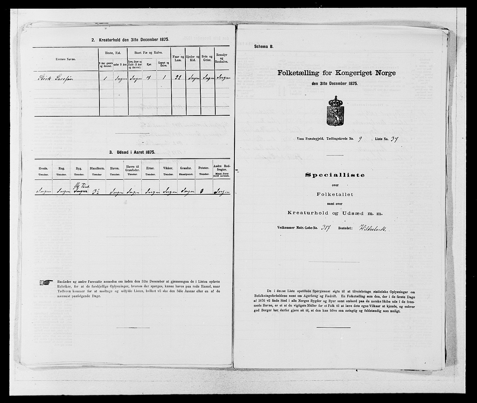 SAB, Folketelling 1875 for 1235P Voss prestegjeld, 1875, s. 1119