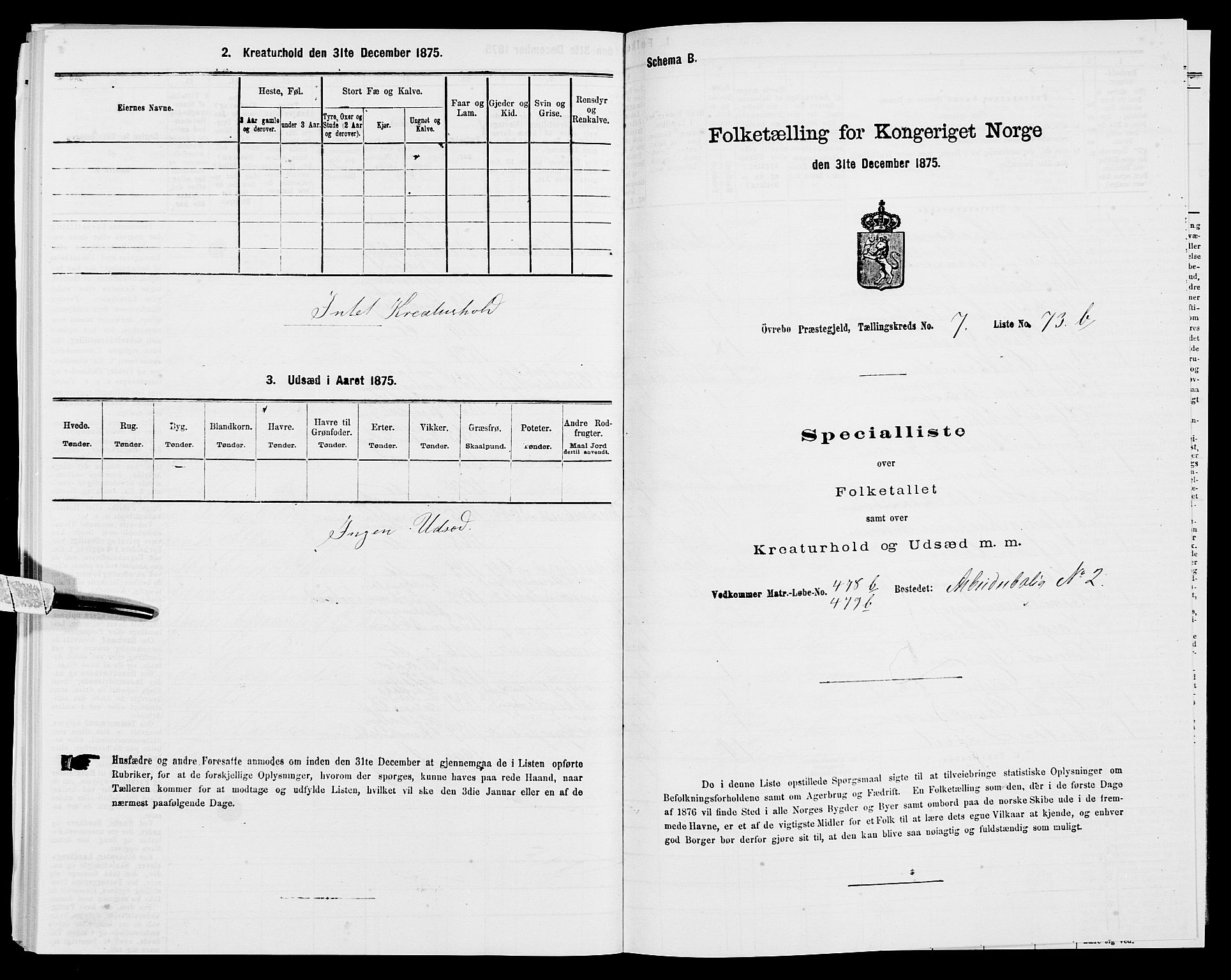 SAK, Folketelling 1875 for 1016P Øvrebø prestegjeld, 1875, s. 996