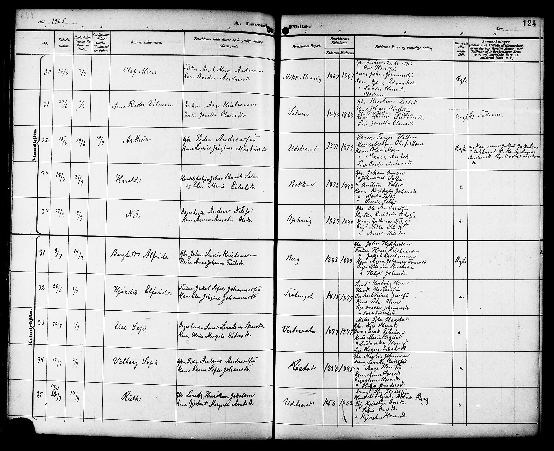 Ministerialprotokoller, klokkerbøker og fødselsregistre - Sør-Trøndelag, SAT/A-1456/659/L0746: Klokkerbok nr. 659C03, 1893-1912, s. 124