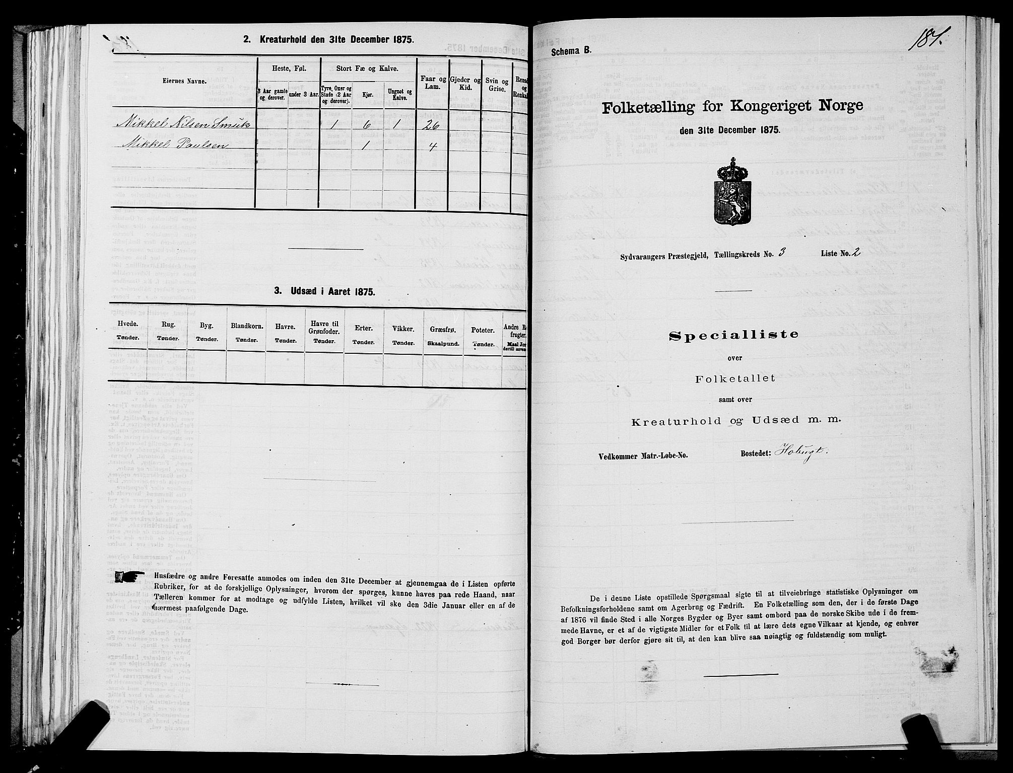 SATØ, Folketelling 1875 for 2030P Sør-Varanger prestegjeld, 1875, s. 1181