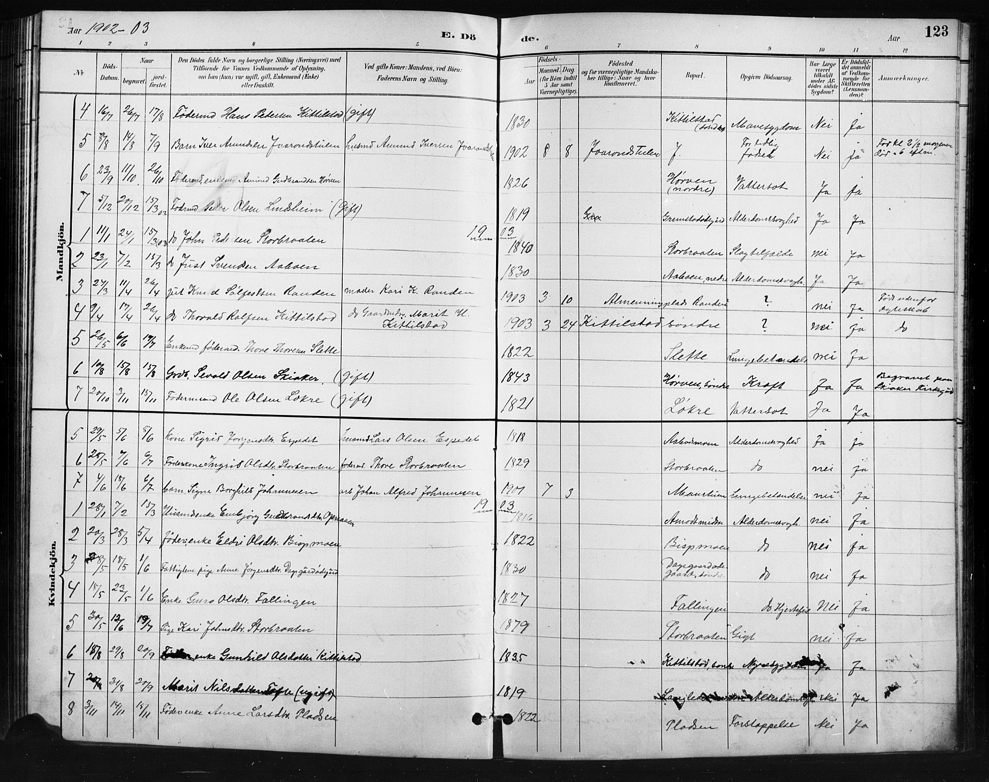 Skjåk prestekontor, AV/SAH-PREST-072/H/Ha/Hab/L0004: Klokkerbok nr. 4, 1895-1921, s. 123