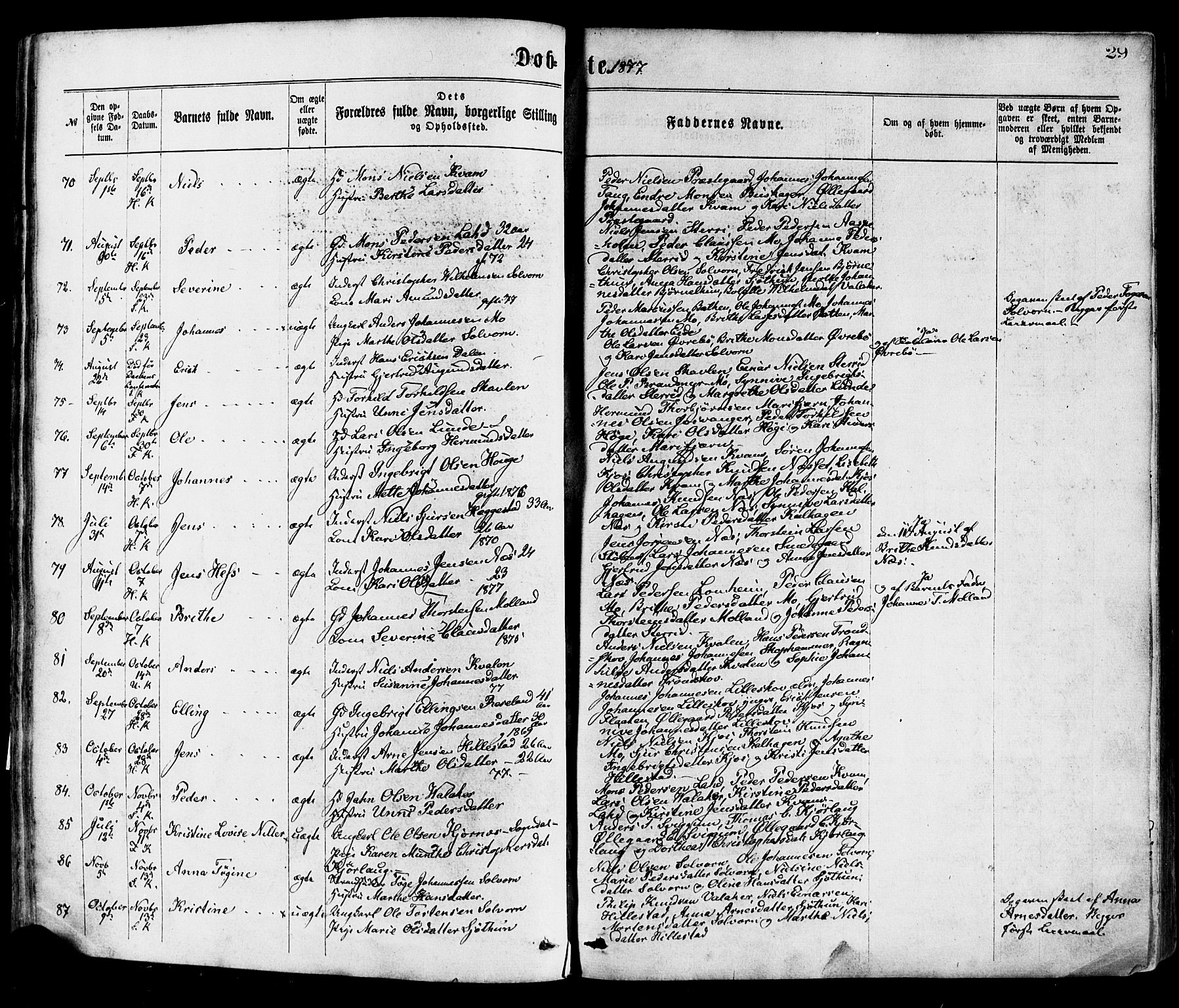 Hafslo sokneprestembete, AV/SAB-A-80301/H/Haa/Haaa/L0011: Ministerialbok nr. A 11, 1873-1886, s. 29