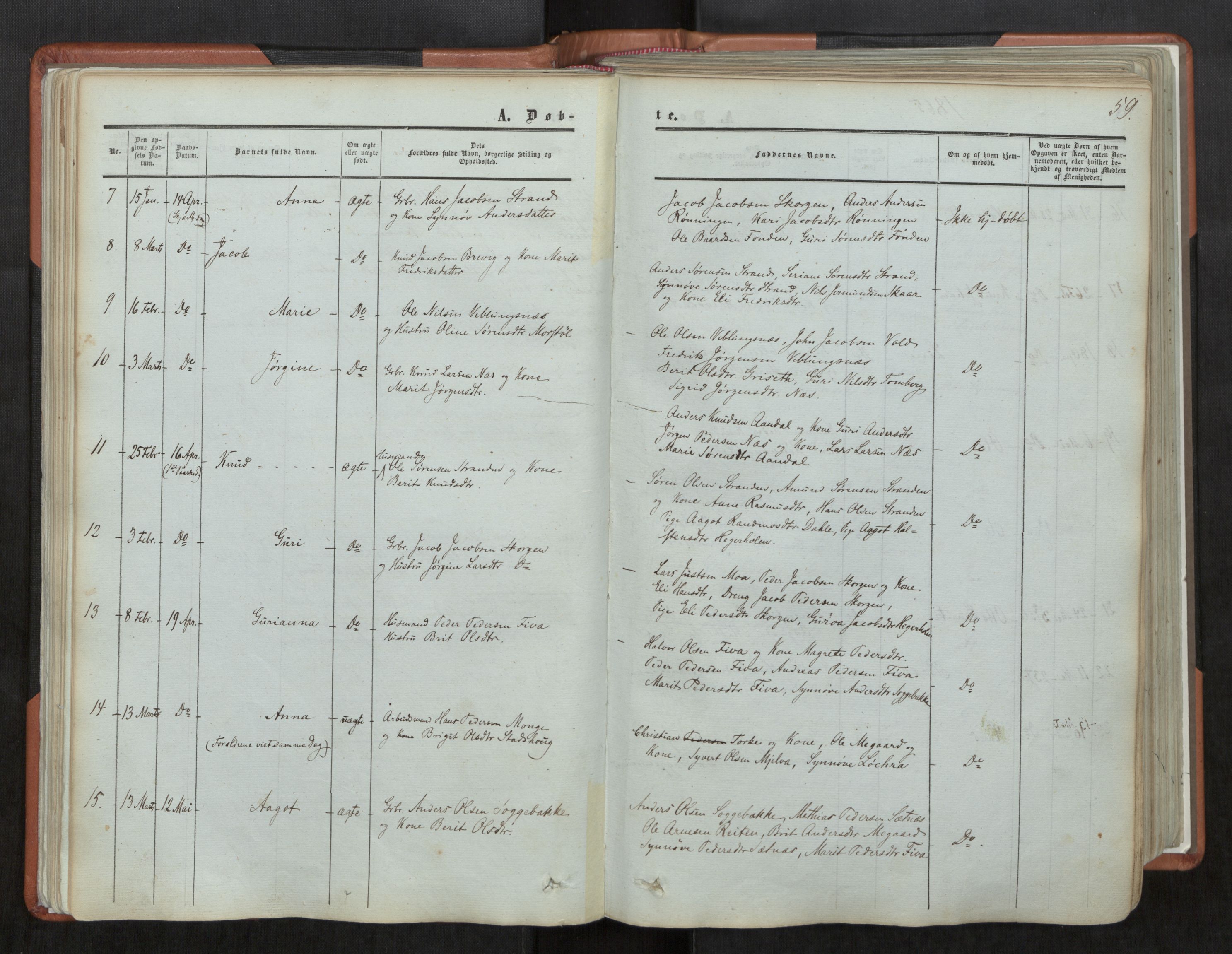 Ministerialprotokoller, klokkerbøker og fødselsregistre - Møre og Romsdal, AV/SAT-A-1454/544/L0572: Ministerialbok nr. 544A05, 1854-1886, s. 60