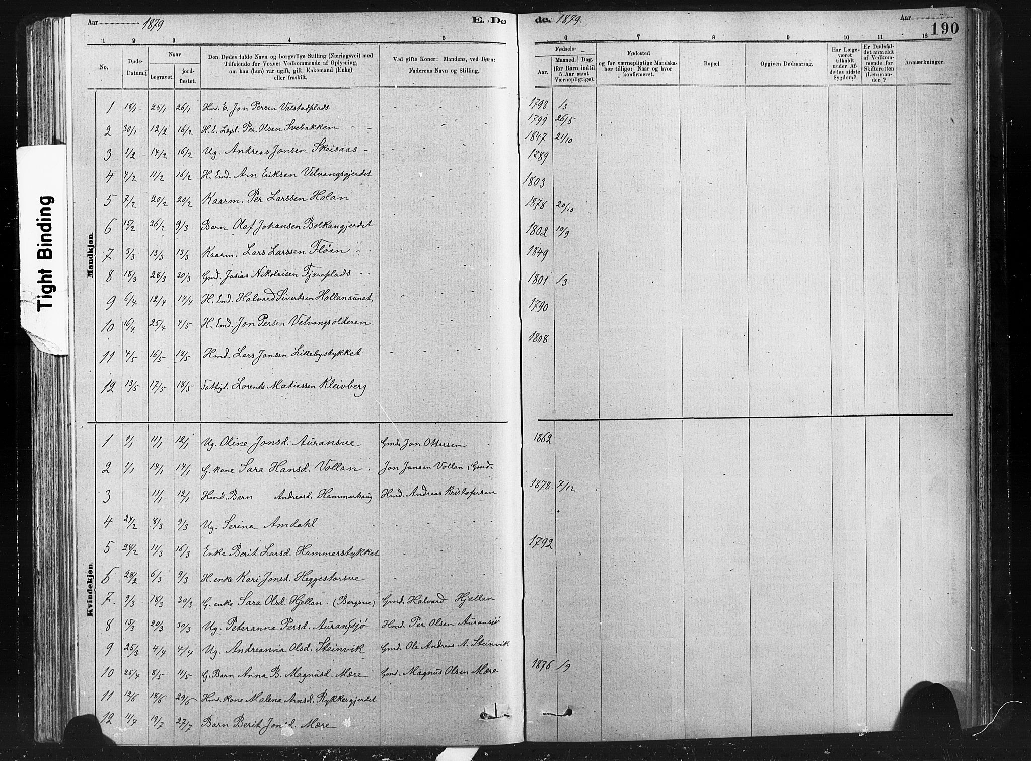 Ministerialprotokoller, klokkerbøker og fødselsregistre - Nord-Trøndelag, SAT/A-1458/712/L0103: Klokkerbok nr. 712C01, 1878-1917, s. 190