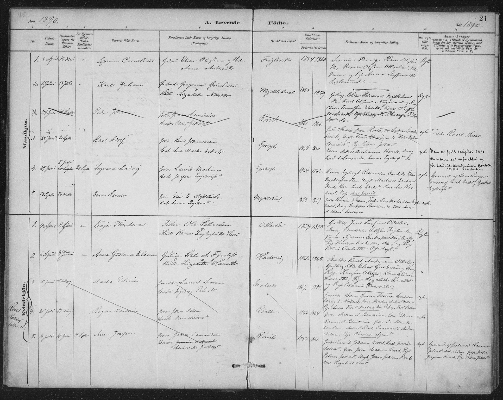 Ministerialprotokoller, klokkerbøker og fødselsregistre - Møre og Romsdal, AV/SAT-A-1454/538/L0522: Ministerialbok nr. 538A01, 1884-1913, s. 21