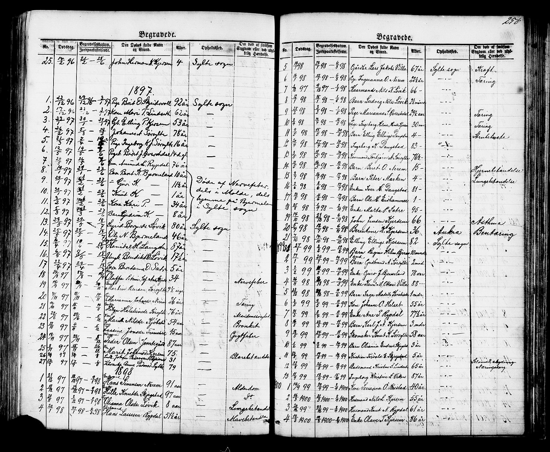 Ministerialprotokoller, klokkerbøker og fødselsregistre - Møre og Romsdal, AV/SAT-A-1454/541/L0547: Klokkerbok nr. 541C02, 1867-1921, s. 256