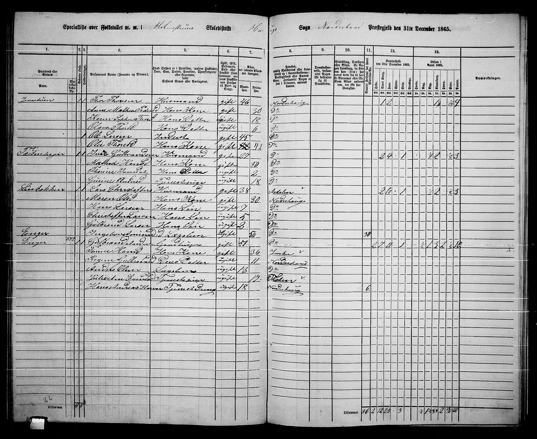 RA, Folketelling 1865 for 0613L Norderhov prestegjeld, Norderhov sokn, Haug sokn og Lunder sokn, 1865, s. 244