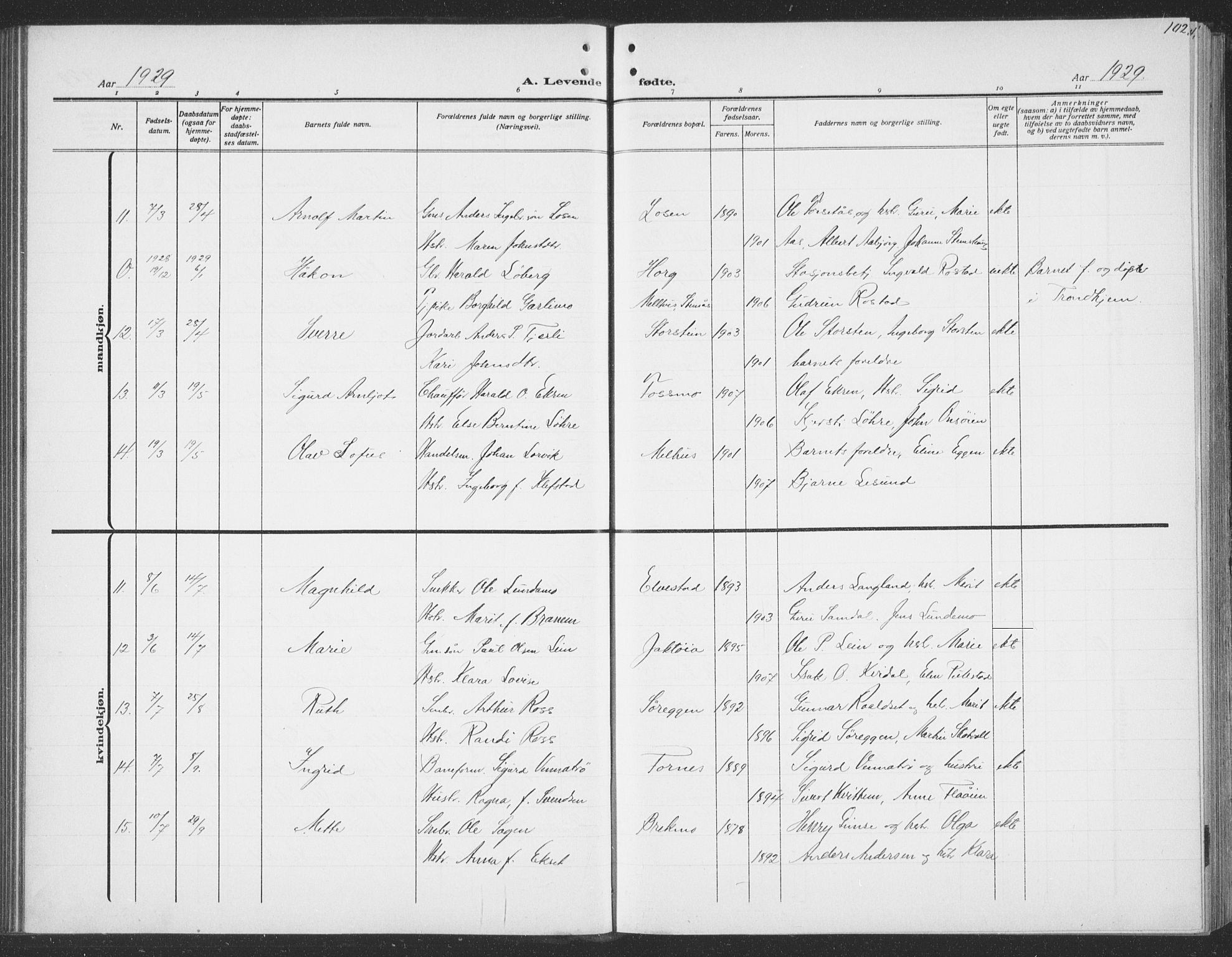Ministerialprotokoller, klokkerbøker og fødselsregistre - Sør-Trøndelag, SAT/A-1456/691/L1095: Klokkerbok nr. 691C06, 1912-1933, s. 102
