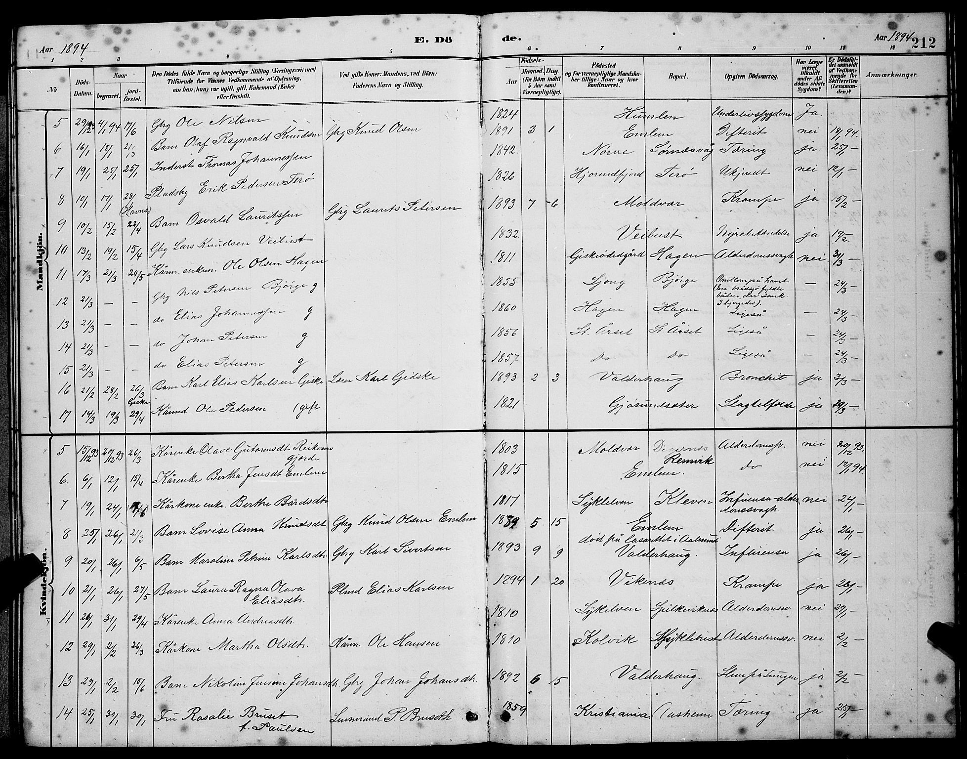 Ministerialprotokoller, klokkerbøker og fødselsregistre - Møre og Romsdal, SAT/A-1454/528/L0430: Klokkerbok nr. 528C11, 1884-1899, s. 212